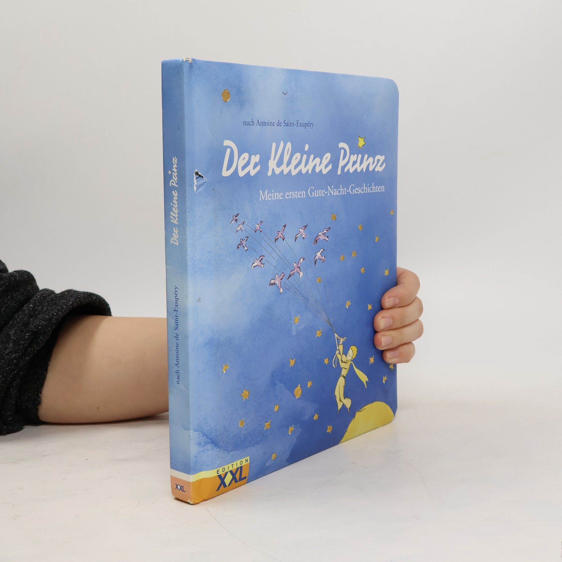 Antoine de Saint-Exupéry Der kleine Prinz - meine ersten Gute-Nacht-Geschichten