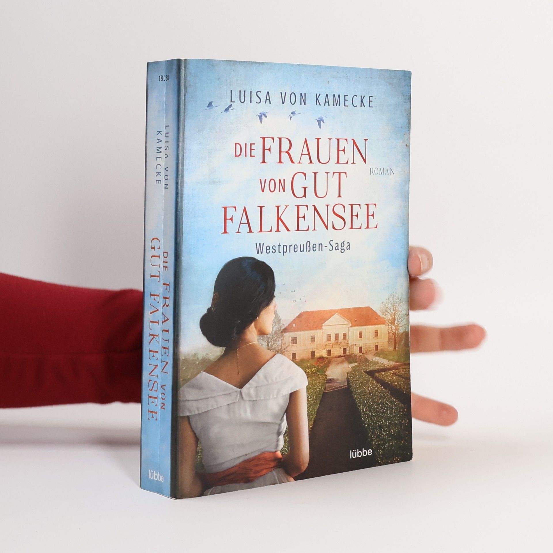 Die Frauen von Gut Falkensee