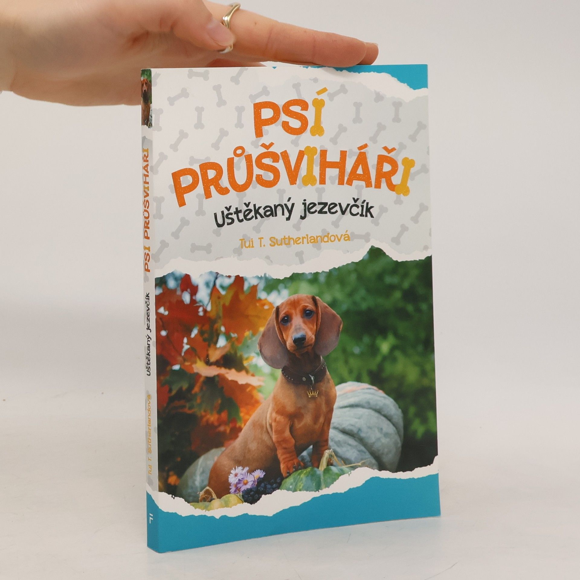 Psí průšviháři – Uštěkaný jezevčík