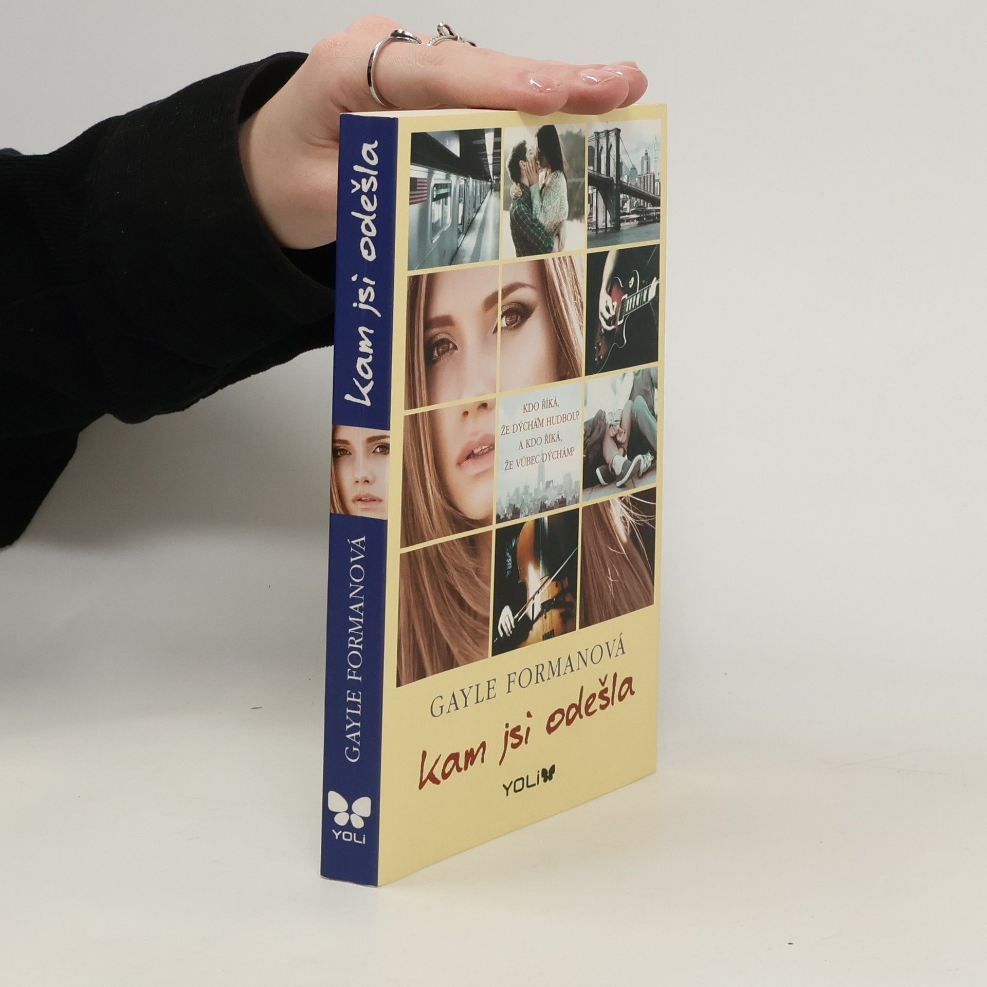 Gayle Forman Kam jsi odešla