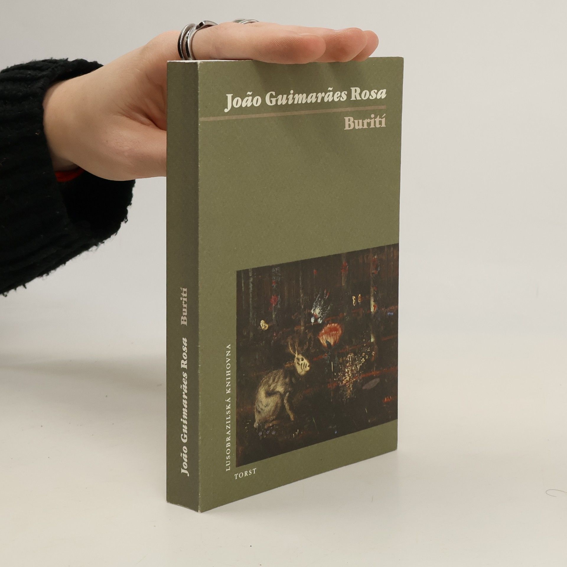 Guimarães Rosa Burití