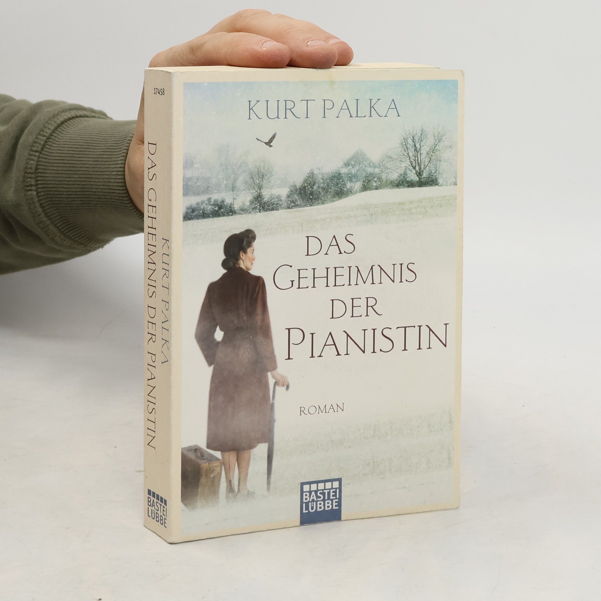 Kurt Palka Das Geheimnis der Pianistin