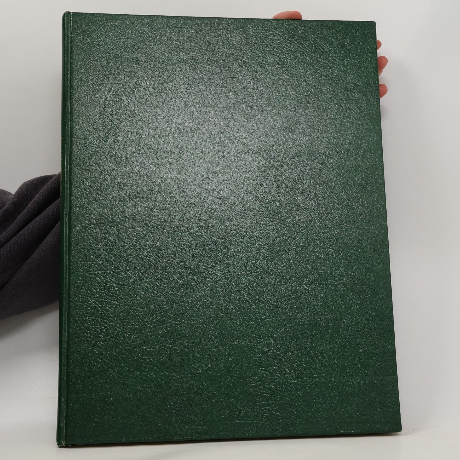 Rena Fennessy Birds of the African Bush