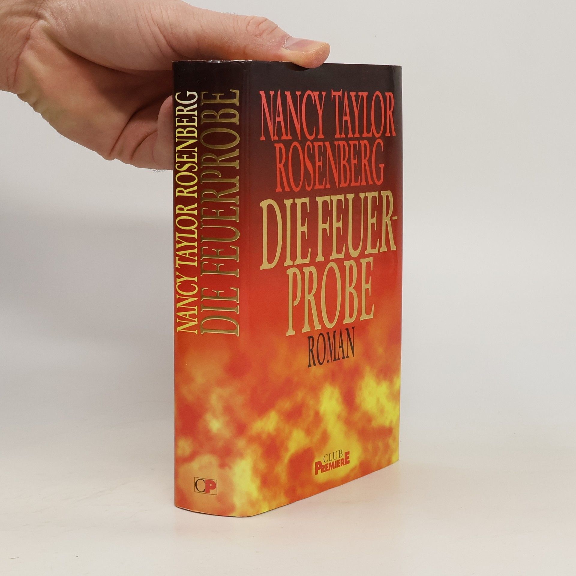 Nancy Taylor Rosenberg Die Feuerprobe