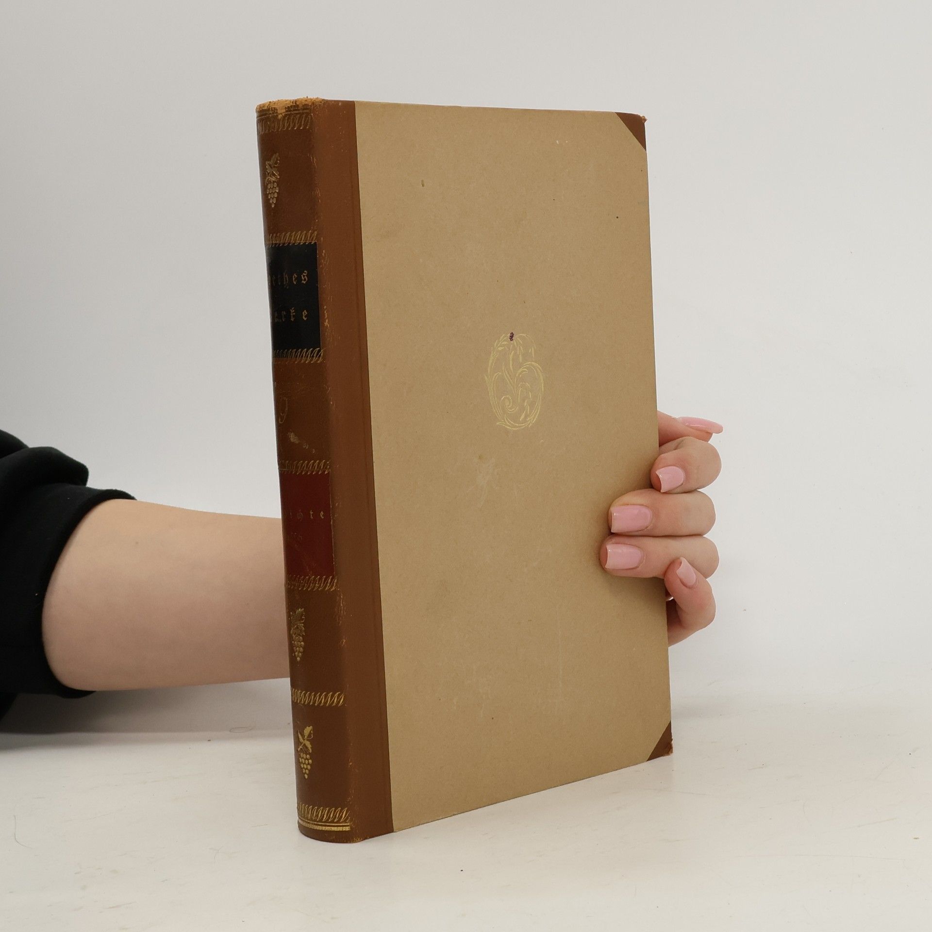 Johann Wolfgang von Goethe Goethe Werke. Die Gedichte 9