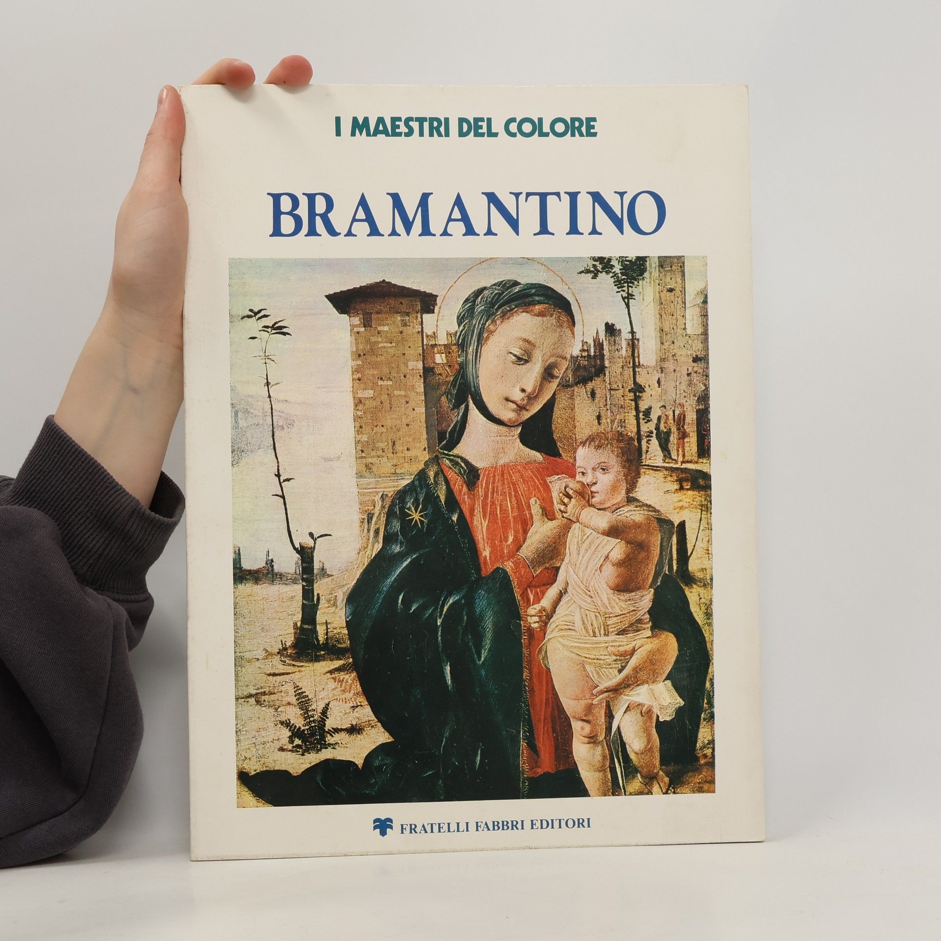 Autorenkollektiv Bramantino. I maestri del colore