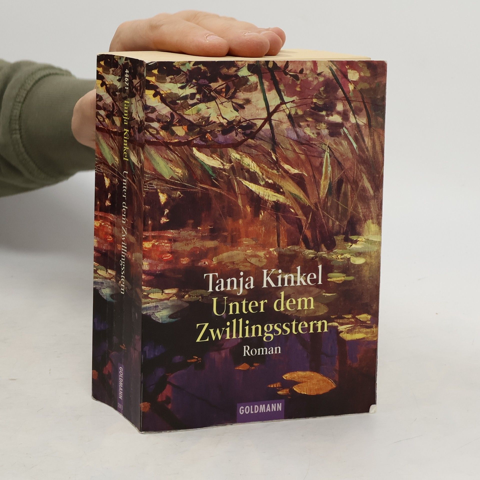 Unter dem Zwillingsstern