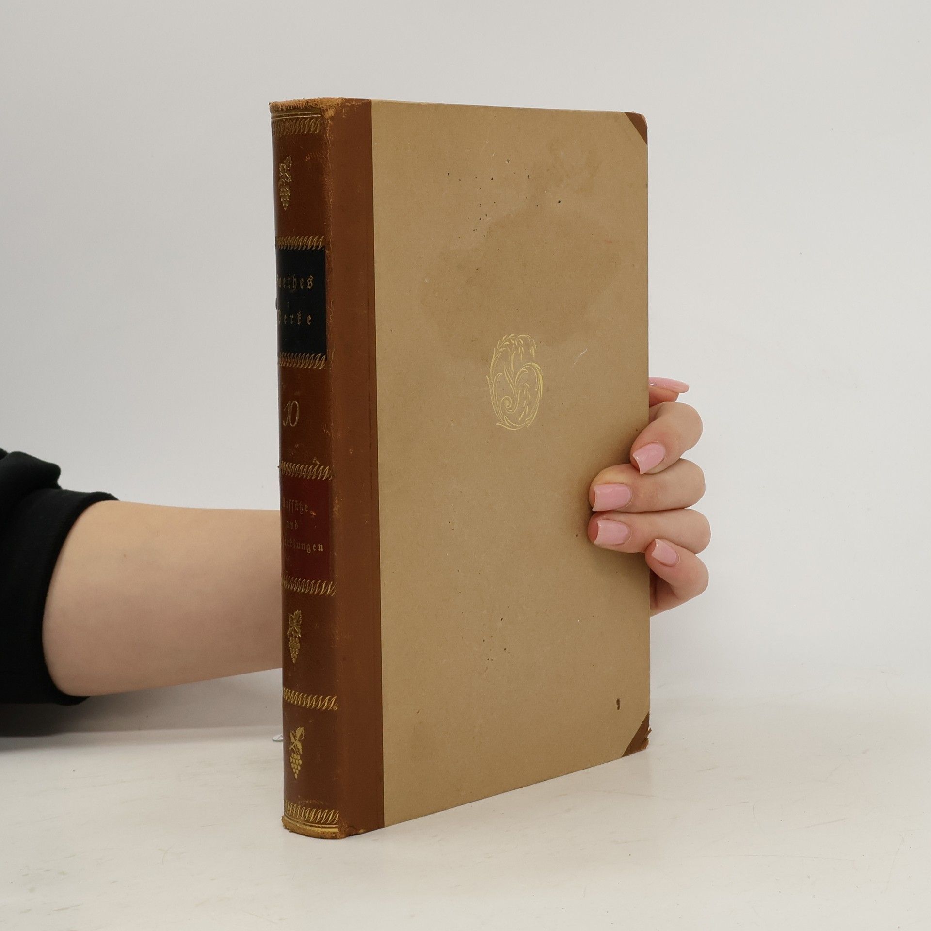 Johann Wolfgang von Goethe Goethe Werke. Goethe Aufsätze und Abhandlungen 10