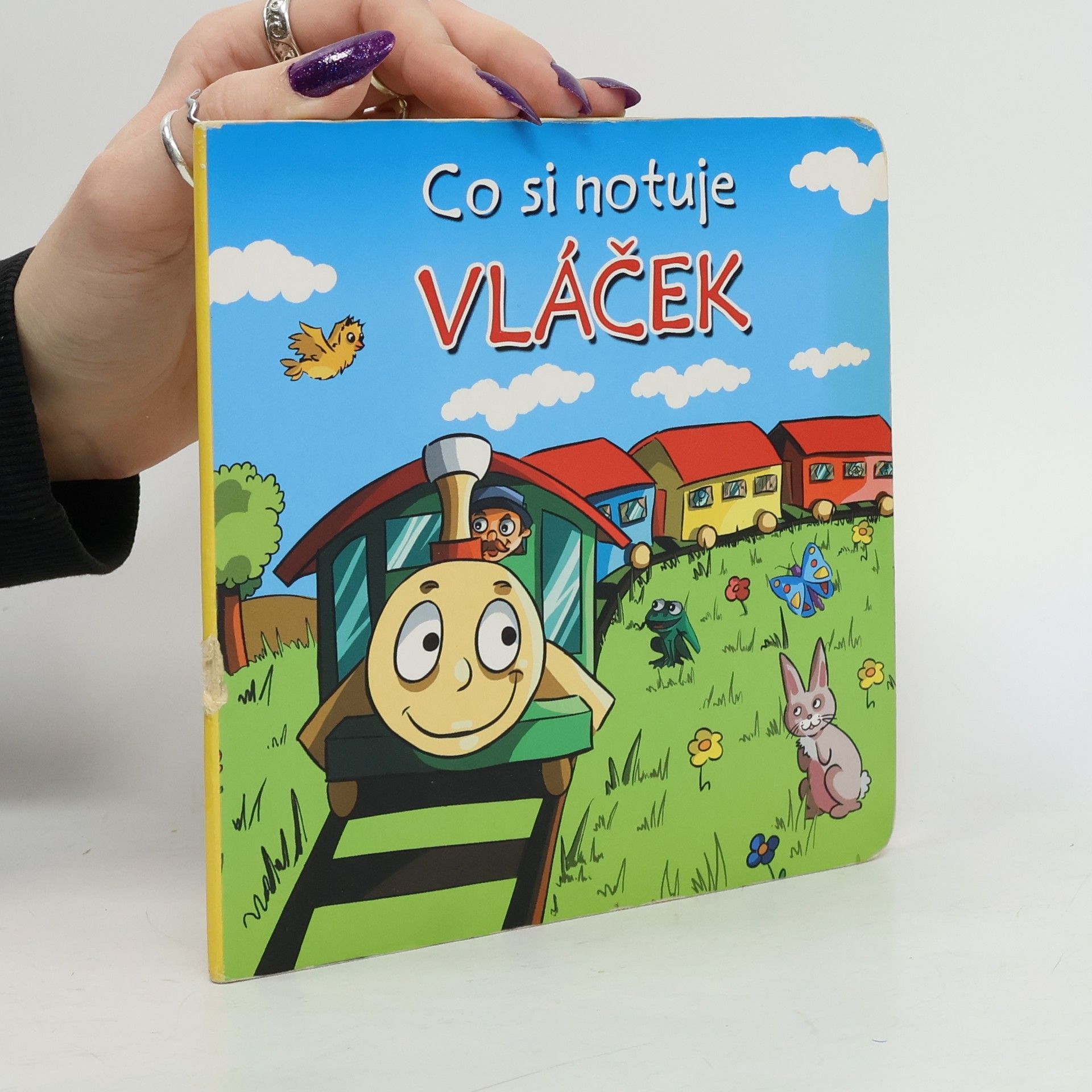 Urszula Kozlovwska Co si notuje vláček