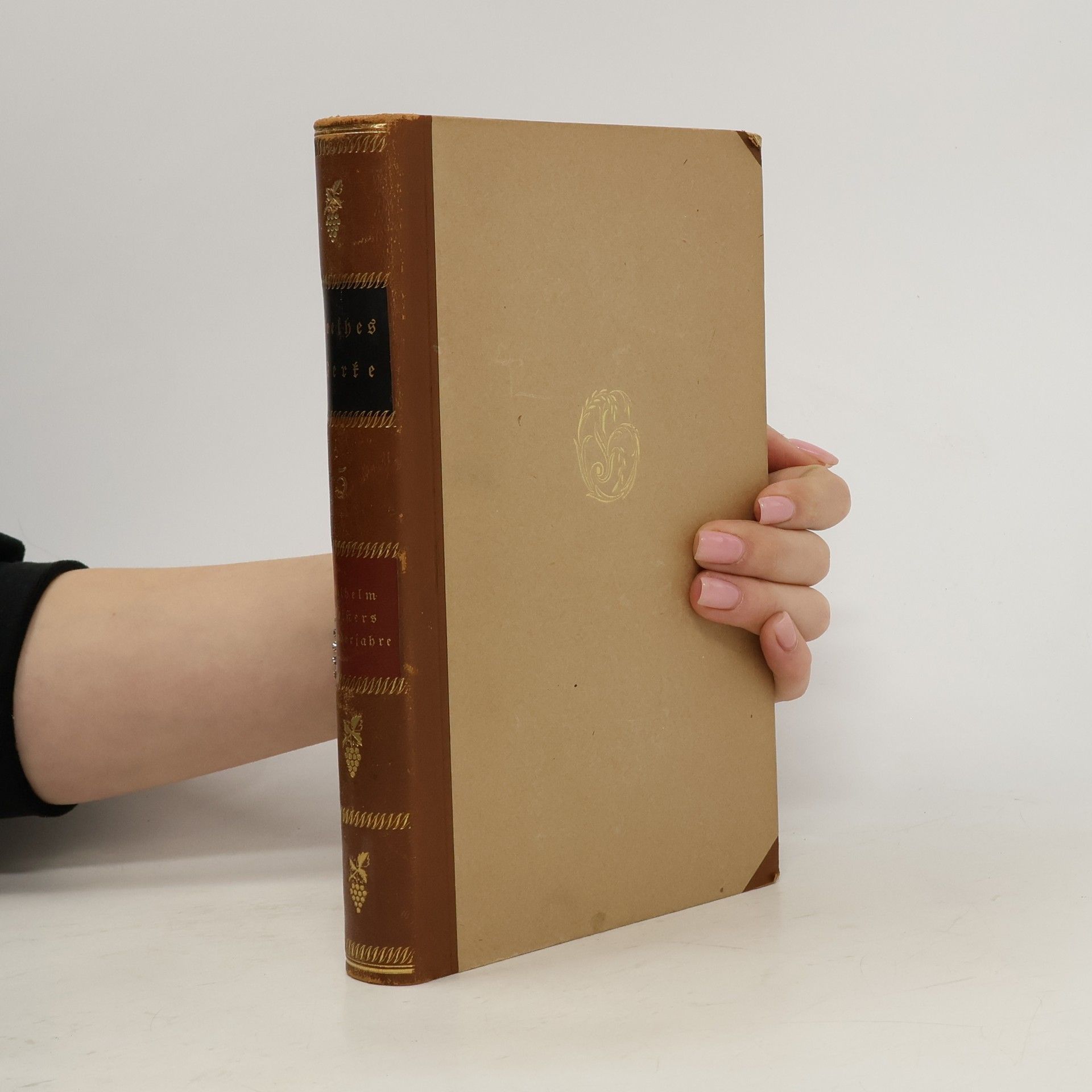 Johann Wolfgang von Goethe Goethe Werke. Fünfter Band