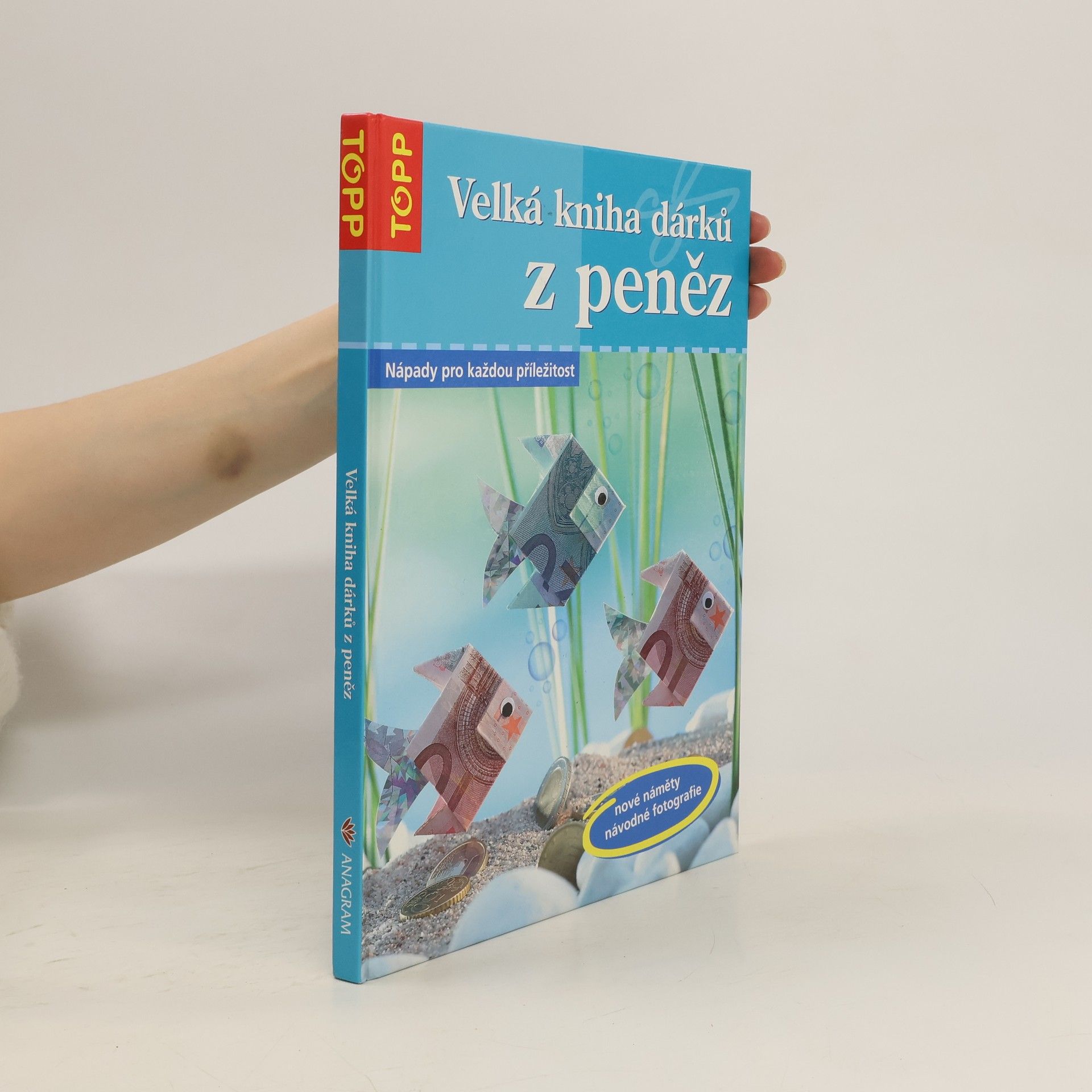 Annette Bayer Velká kniha dárků z peněz: Nápady pro každou příležitost