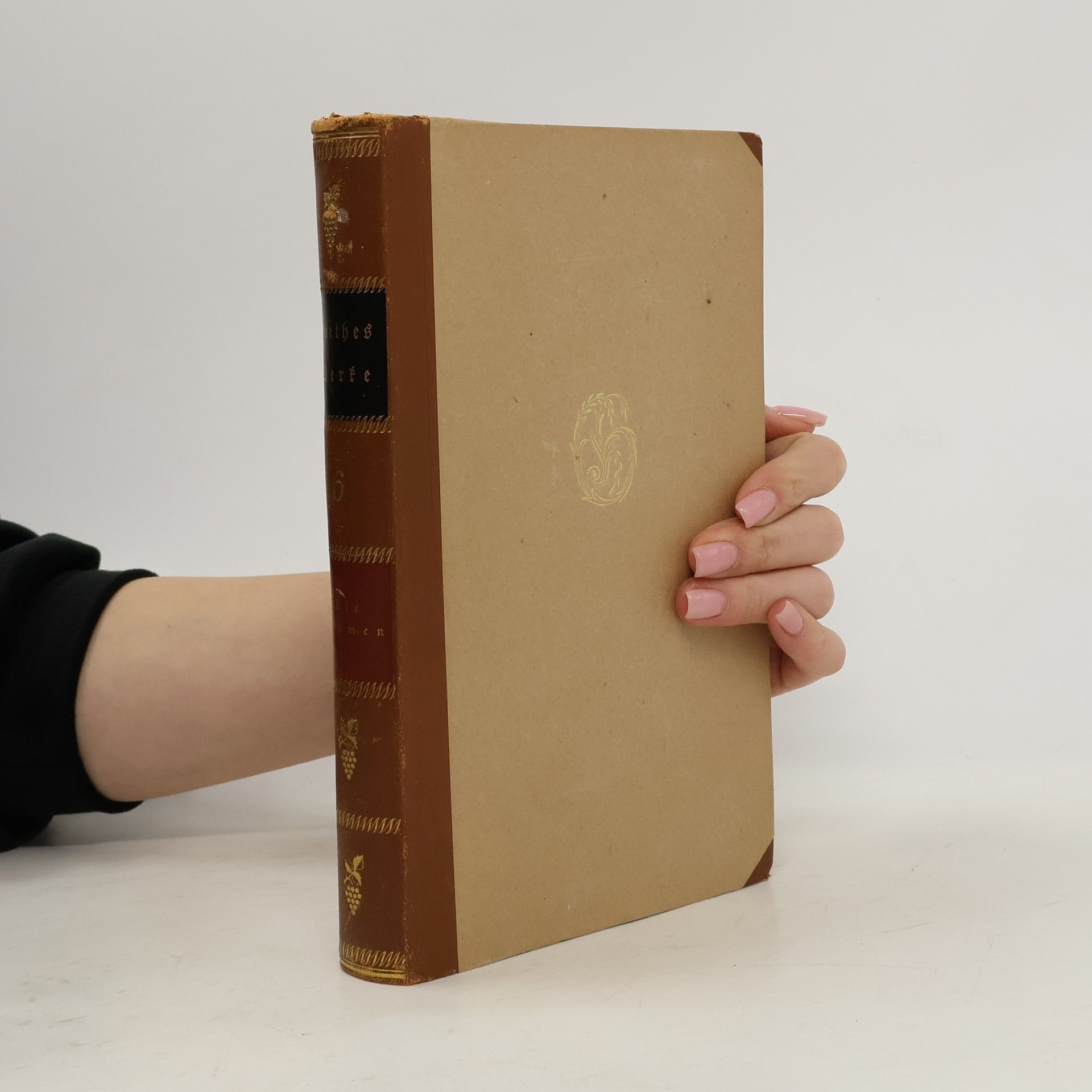 Johann Wolfgang von Goethe Goethe Werke. Goethe Die Dramen 6