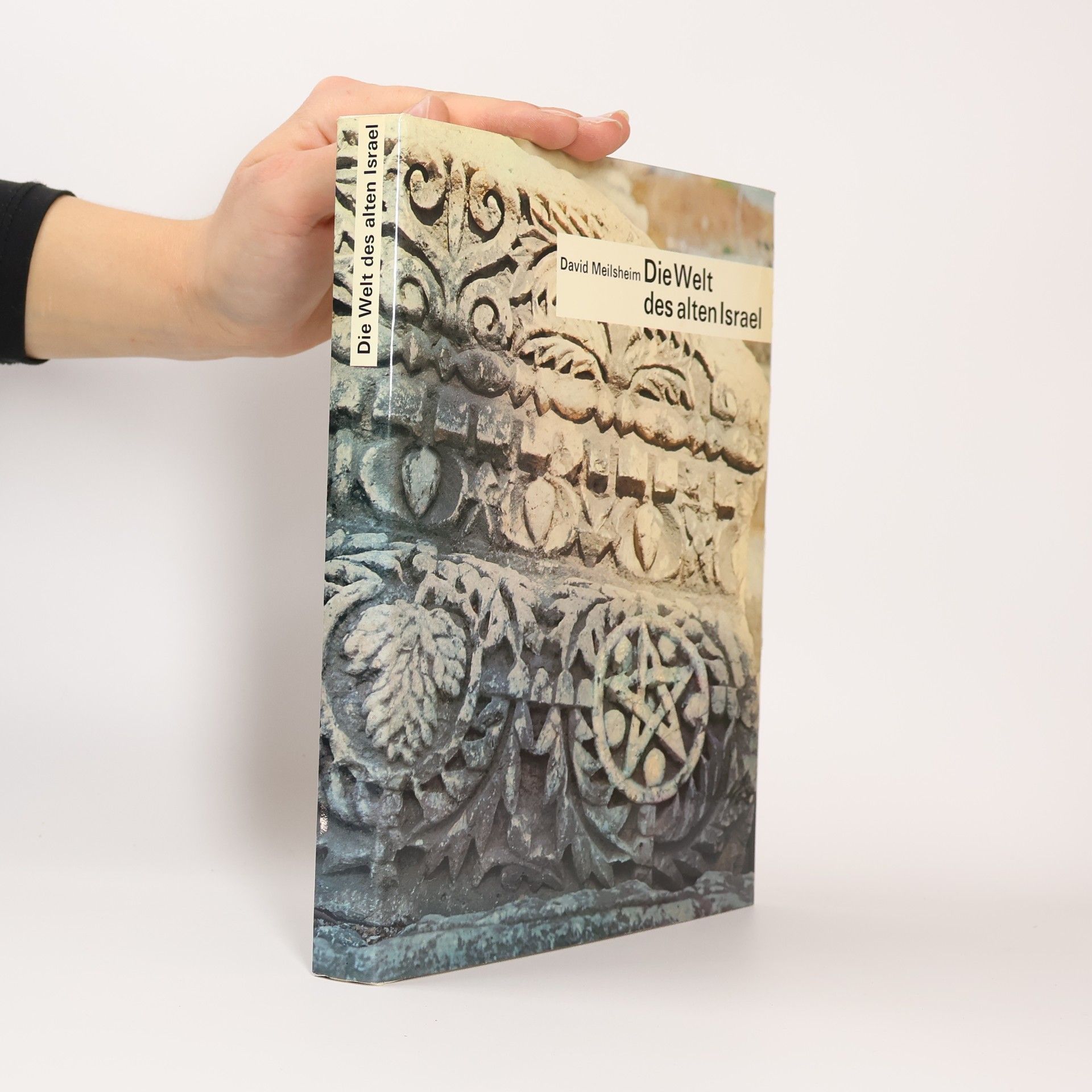 David Meilsheim Die Welt des alten Israel