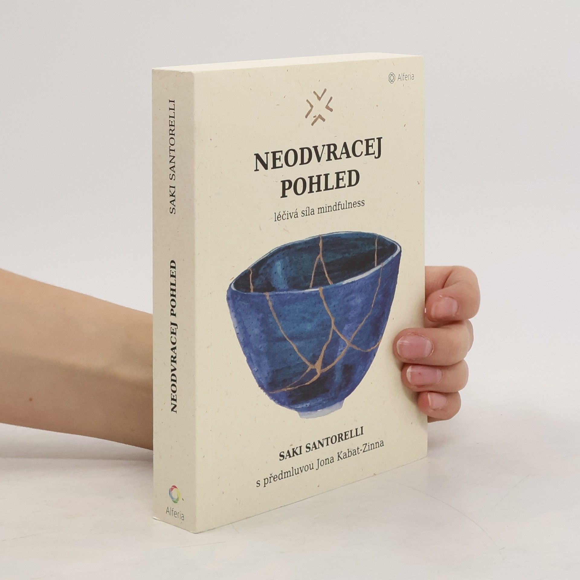 Neodvracej pohled : léčivá síla mindfulness