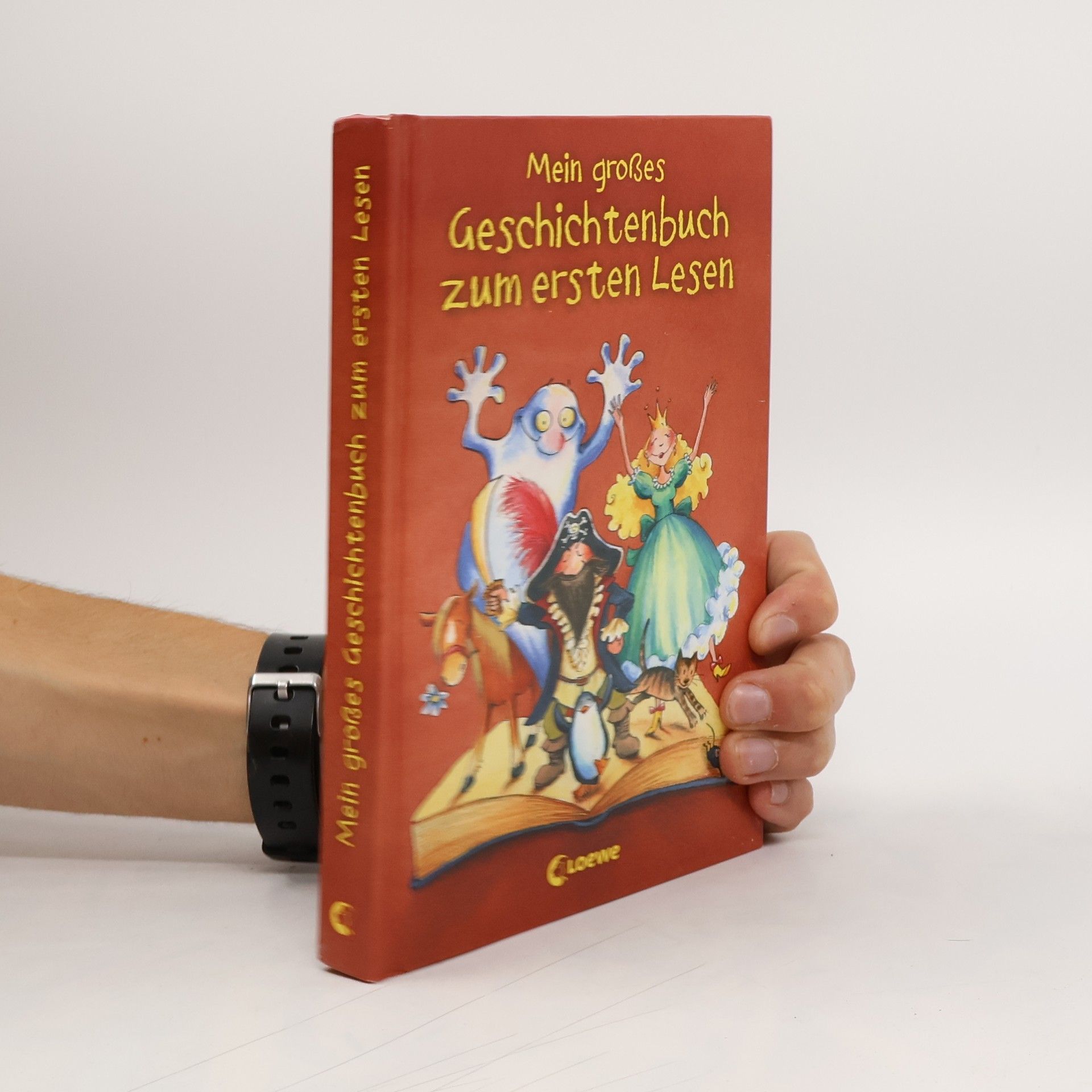 Kolektiv autorů Mein großes Geschichtenbuch zum ersten Lesen