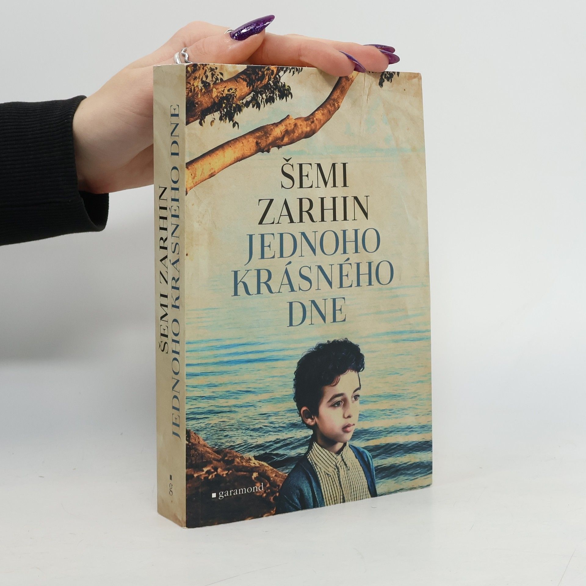 Šimi Zarchin Jednoho krásného dne