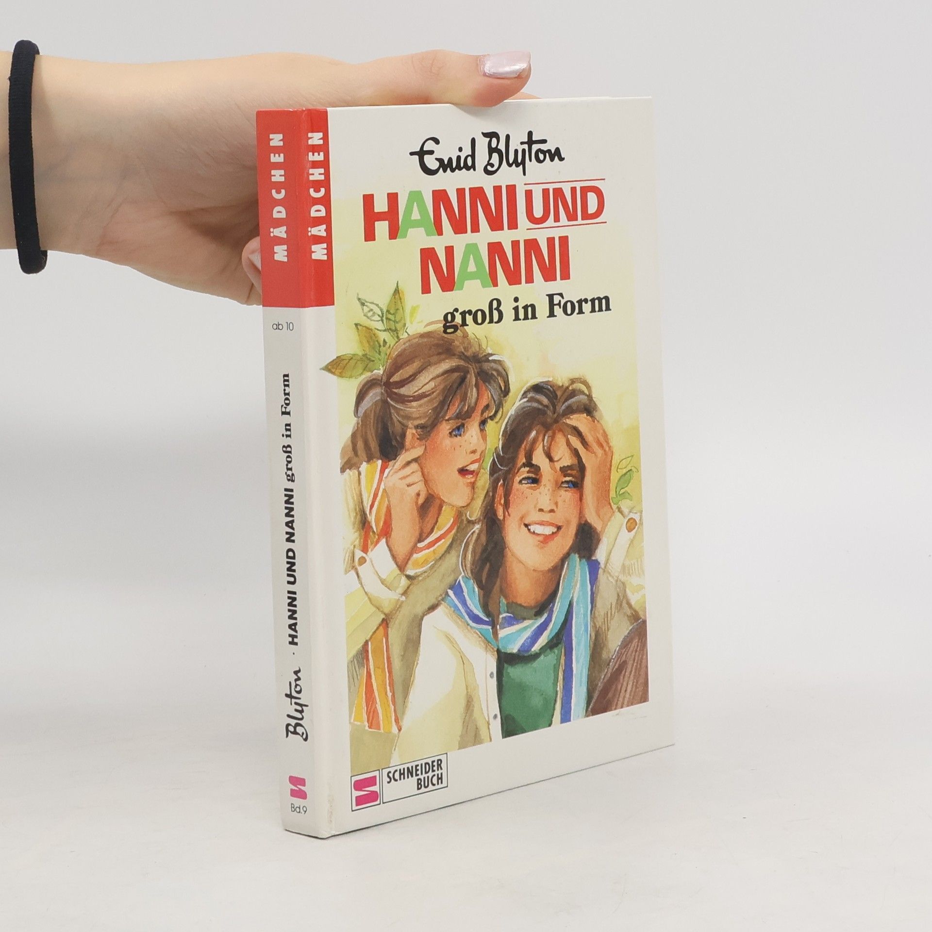 Enid Blyton Hanni und Nanni groß in Form