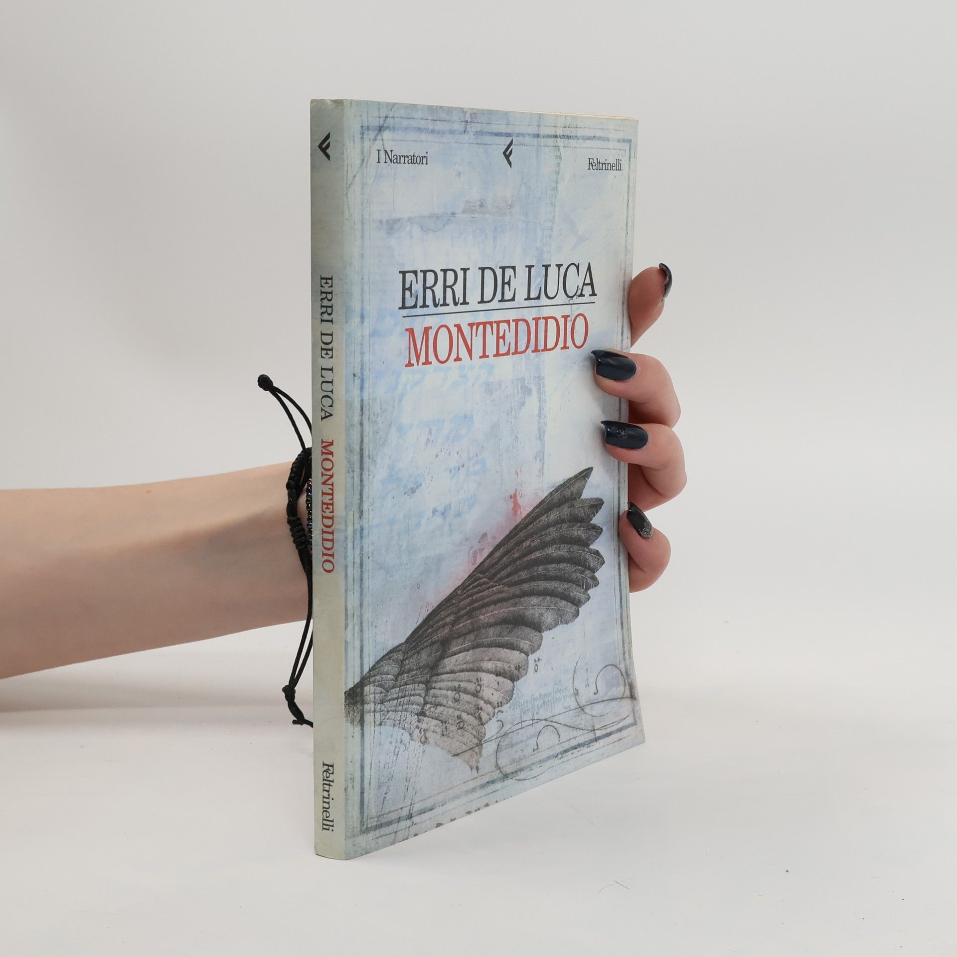 Erri De Luca Montedidio