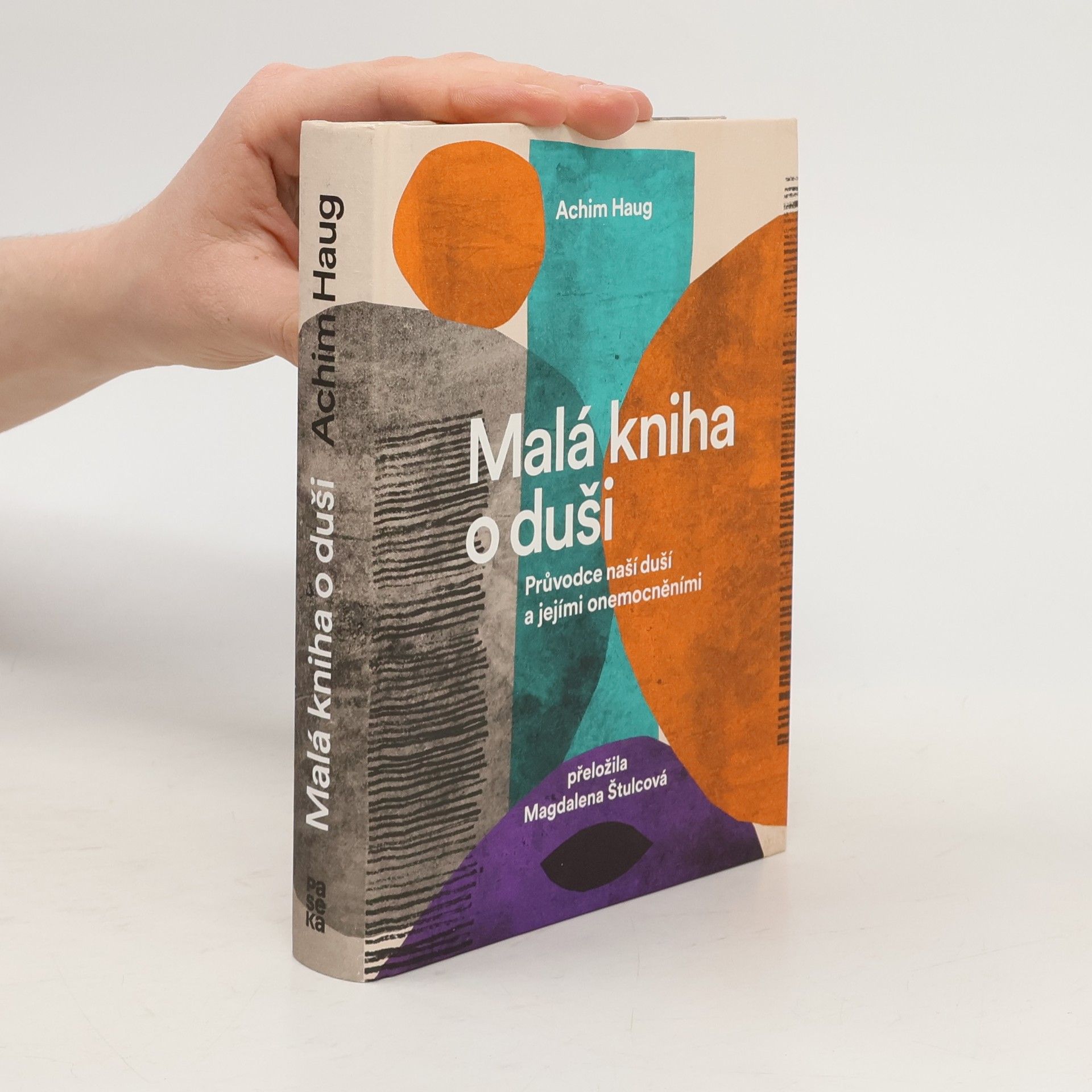 Achim Haug Malá kniha o duši. Průvodce na cesty naší psýchou a jejími nemocemi