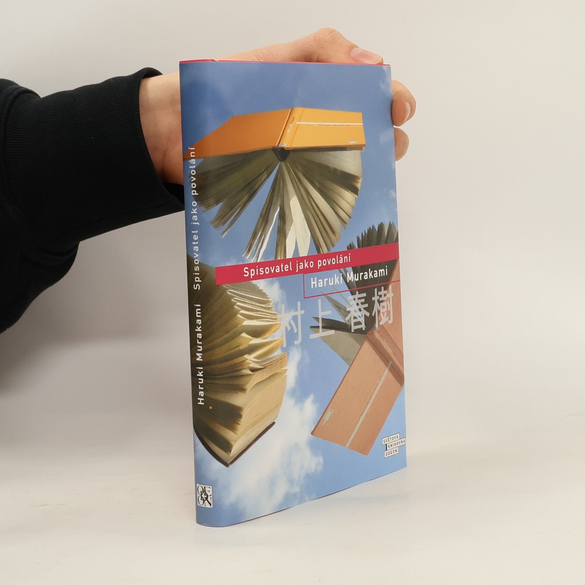 Spisovatel jako povolání