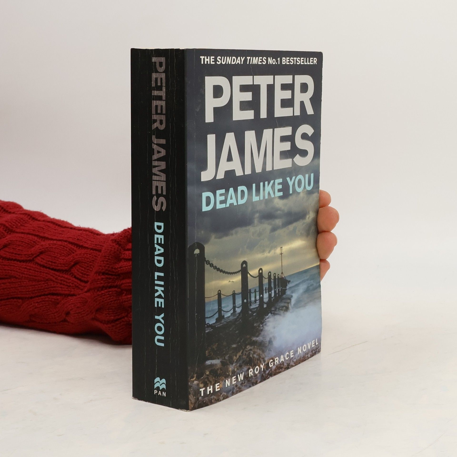 Peter James Dead Like You