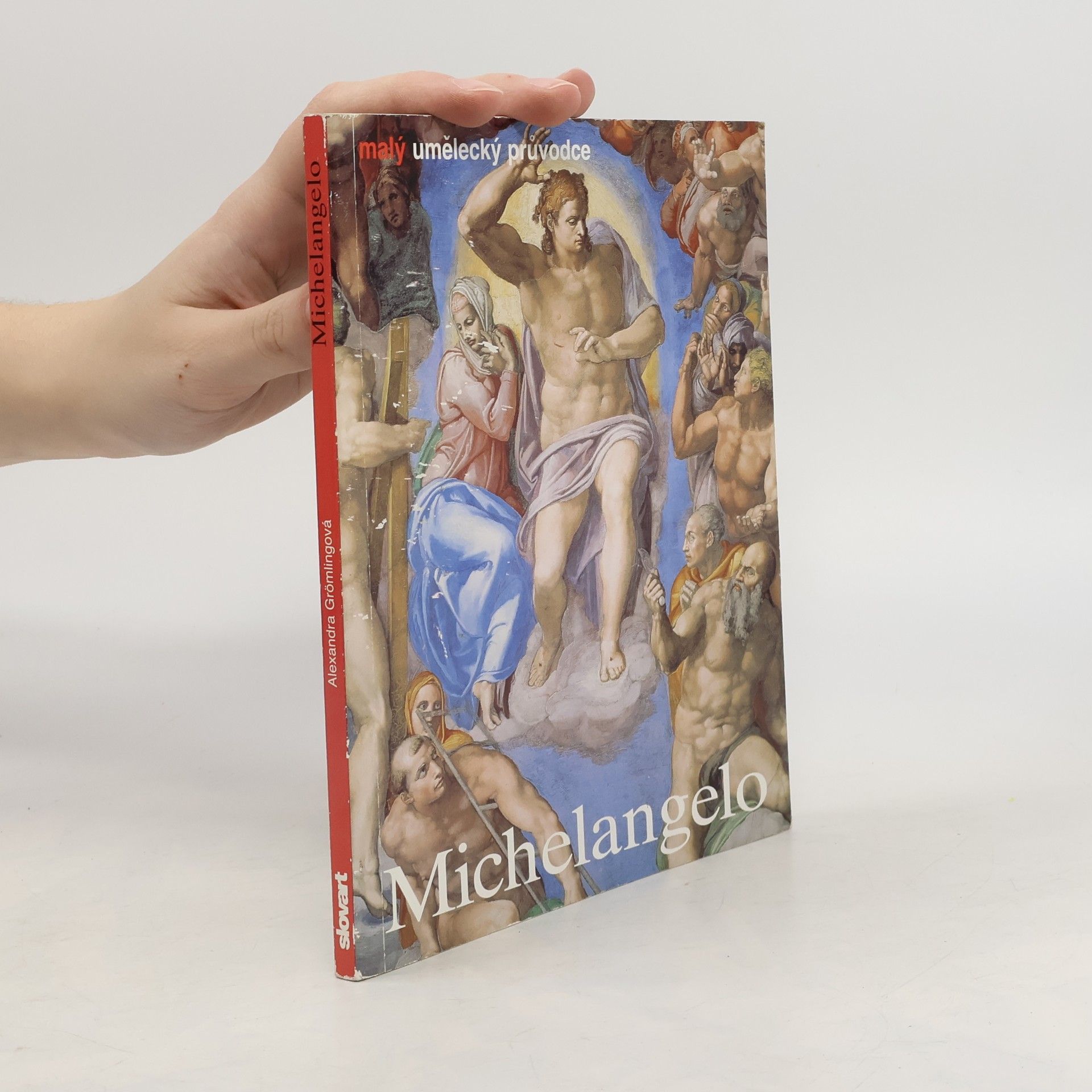 Alexandra Grömling Michelangelo Buonarroti : život a dílo