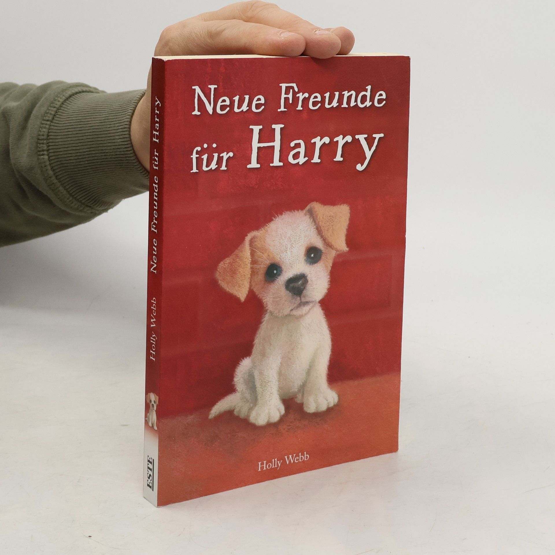 Holly Webb Neue Freunde für Harry
