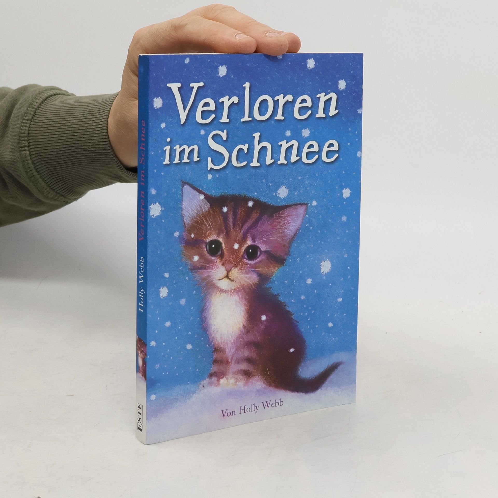 Holly Webb Verloren im Schnee