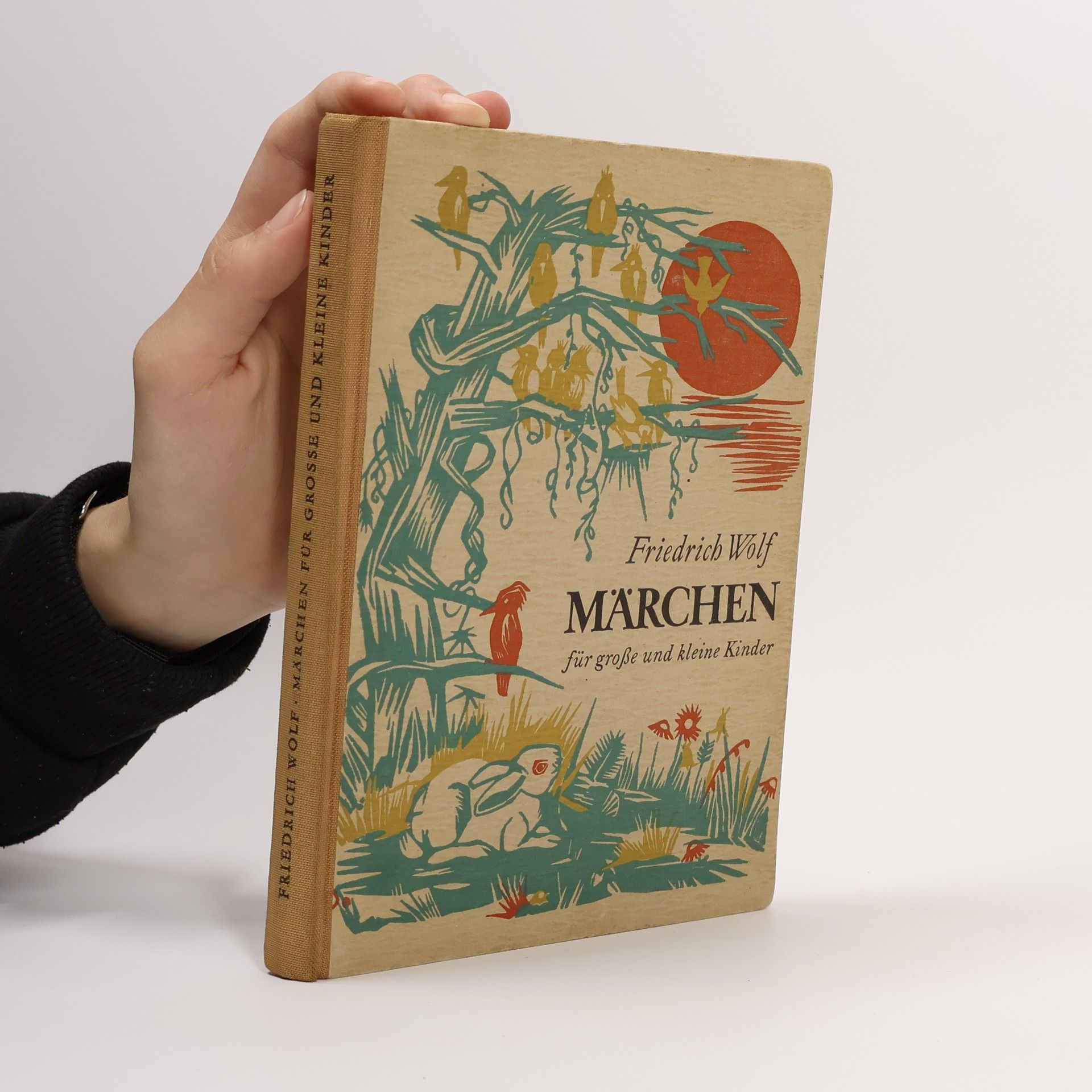 Friedrich Wolf Märchen. Für grosse und kleine Kinder