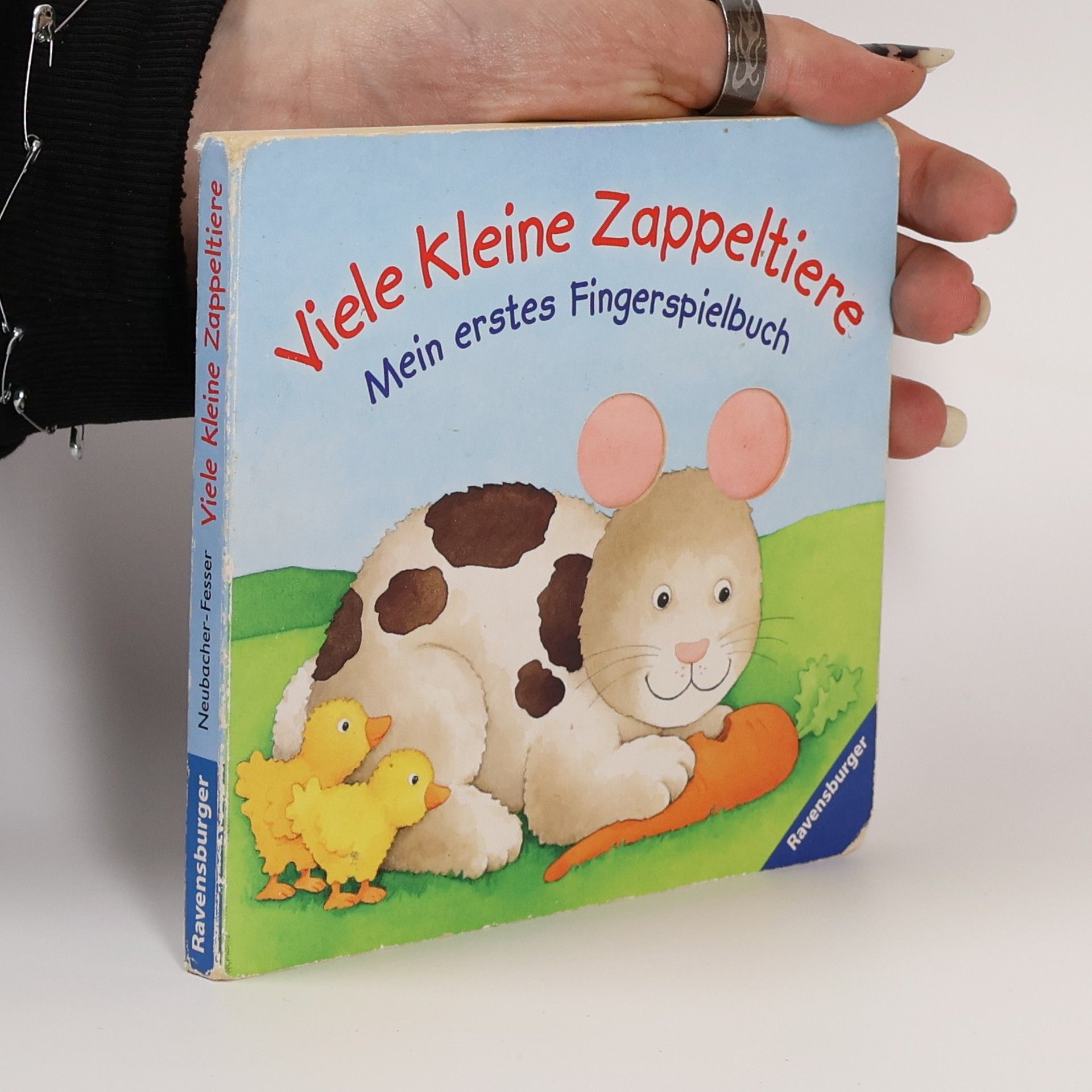 Bernd Penners Viele kleine Zappeltiere. Mein erstes Fingerspielbuch