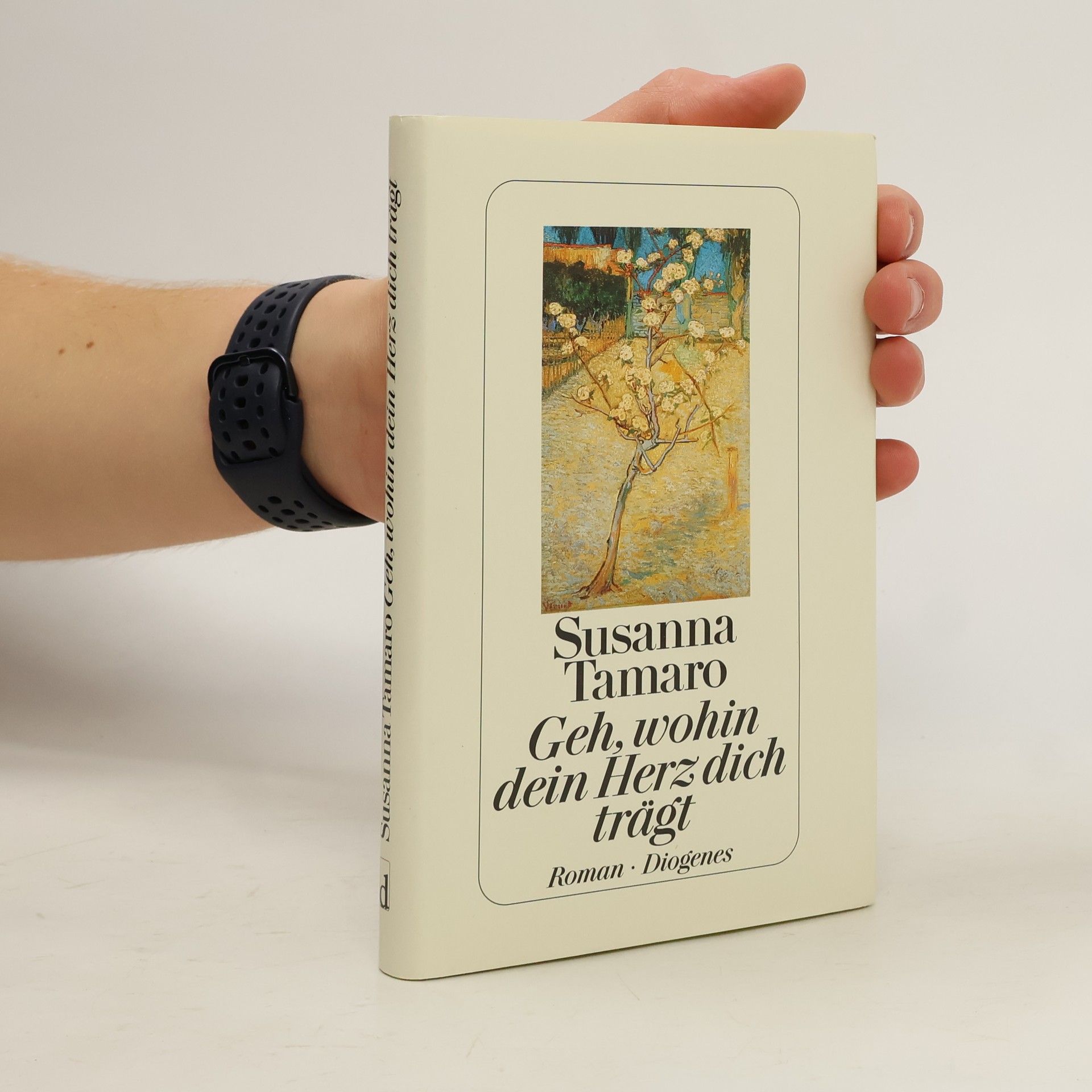 Susanna Tamaro Geh, wohin dein Herz dich trägt