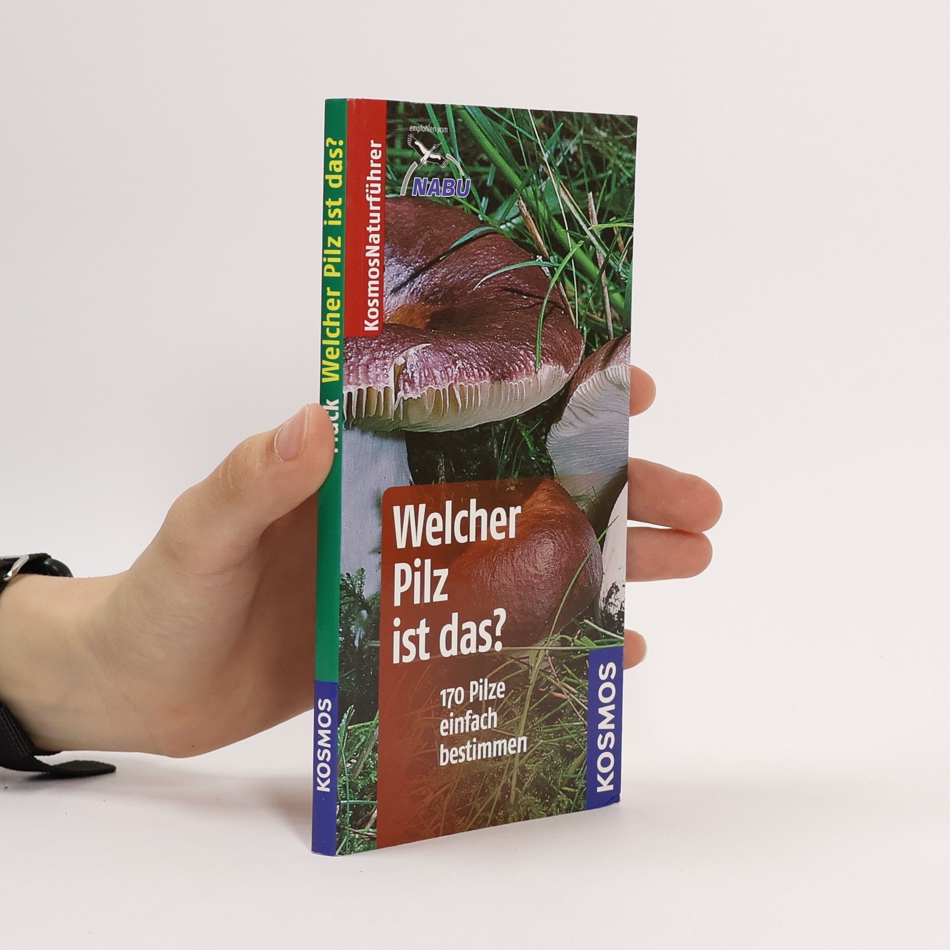 Markus Flück Welcher Pilz ist das?