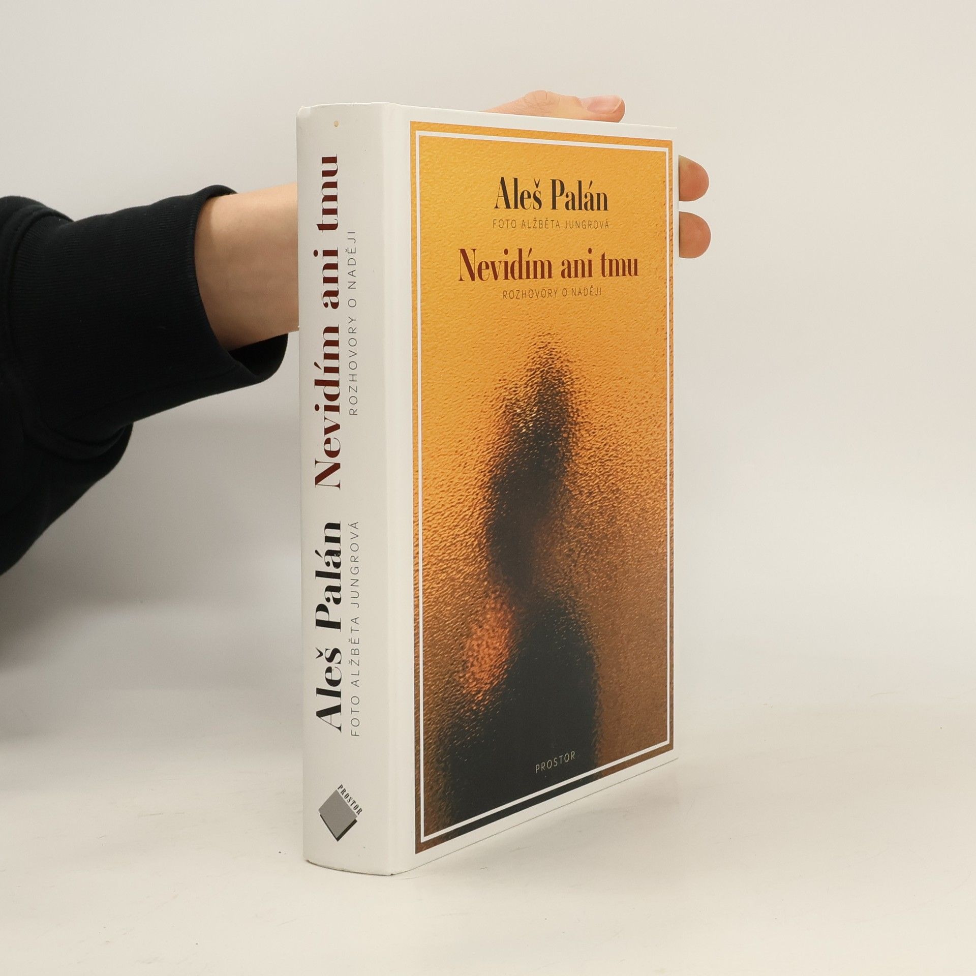 Aleš Palán Nevidím ani tmu