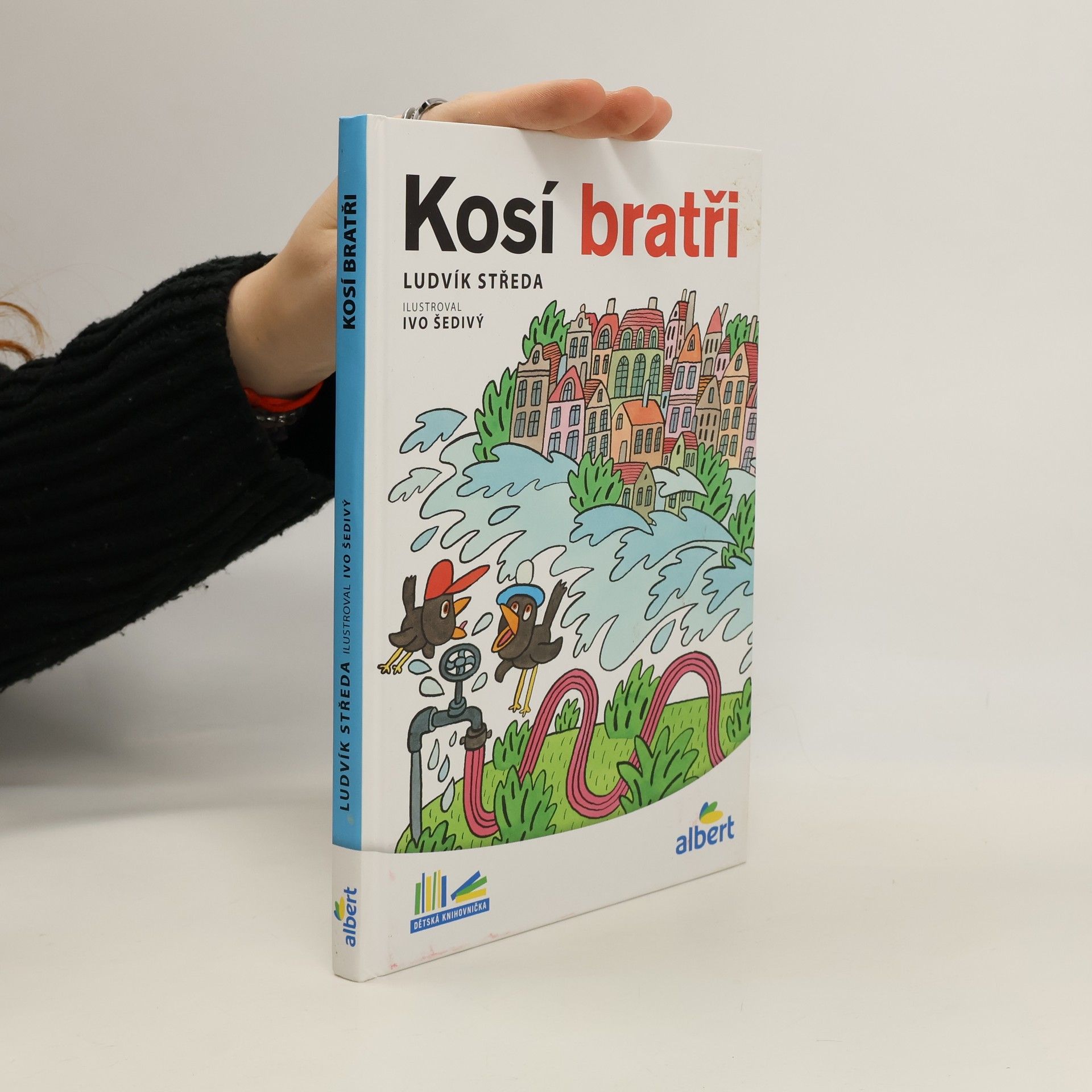 Ludvík Středa Kosí bratři