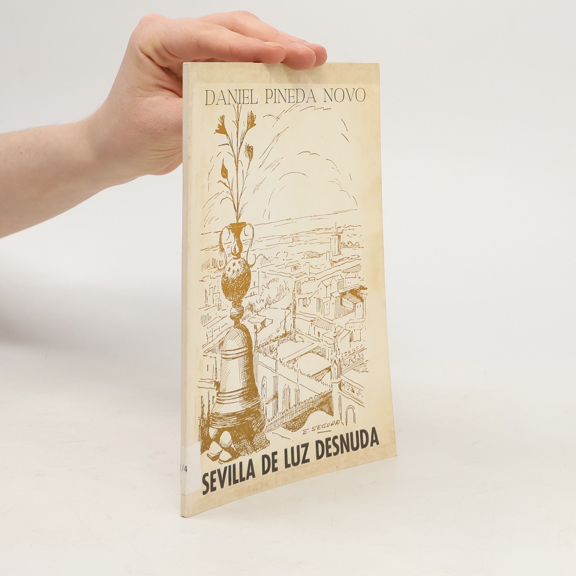 Daniel Pineda Novo Sevilla de luz desnuda