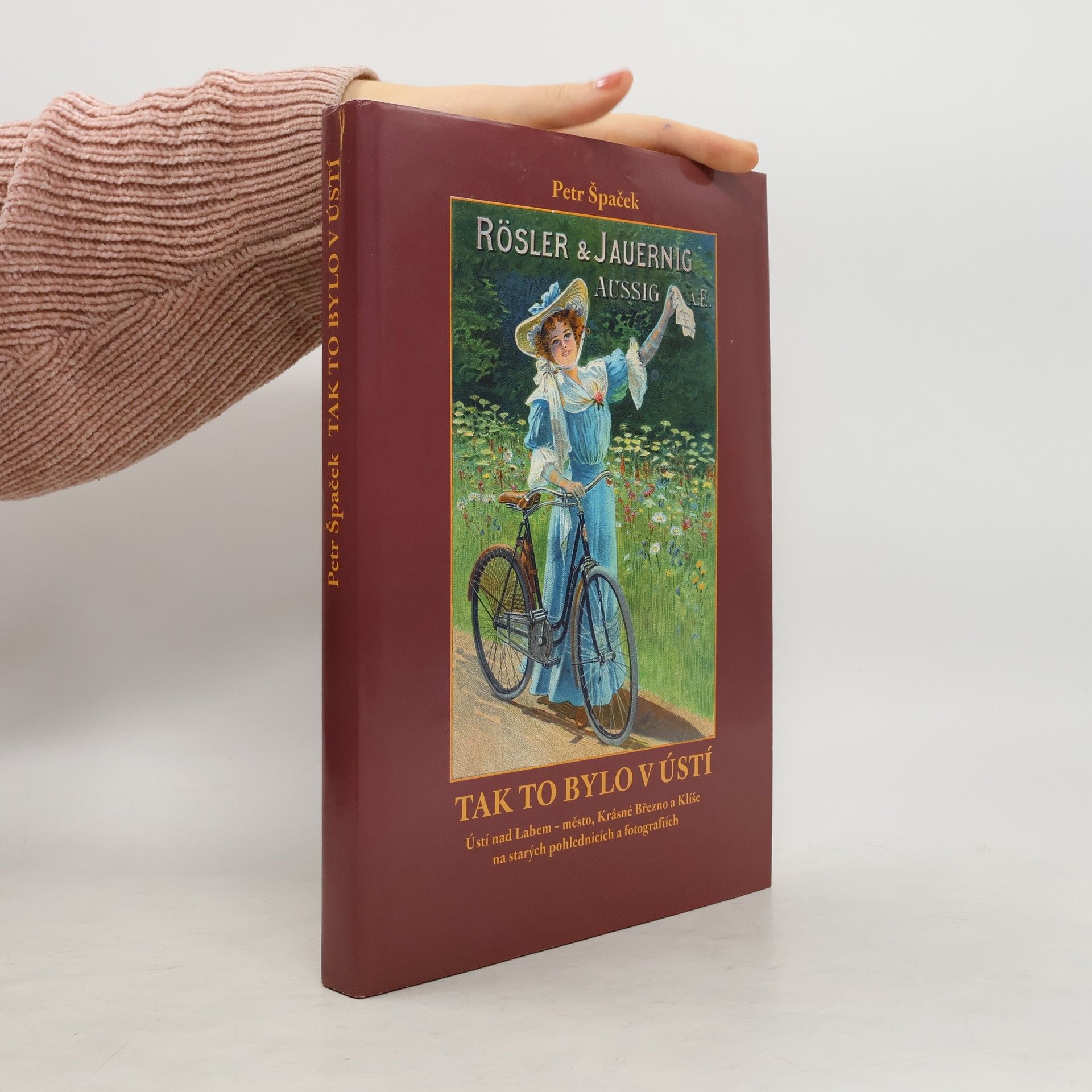 Tak to bylo v Ústí. Ústí nad Labem - město, Krásné Březno a Klíše na starých pohlednicích a fotografiích