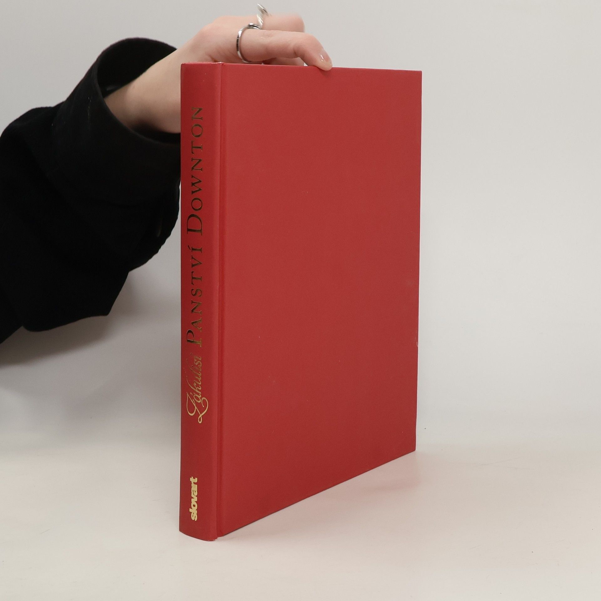 Emma Rowley Zákulisí Panství Downton - Podrobný průvodce 1. - 4. sérií