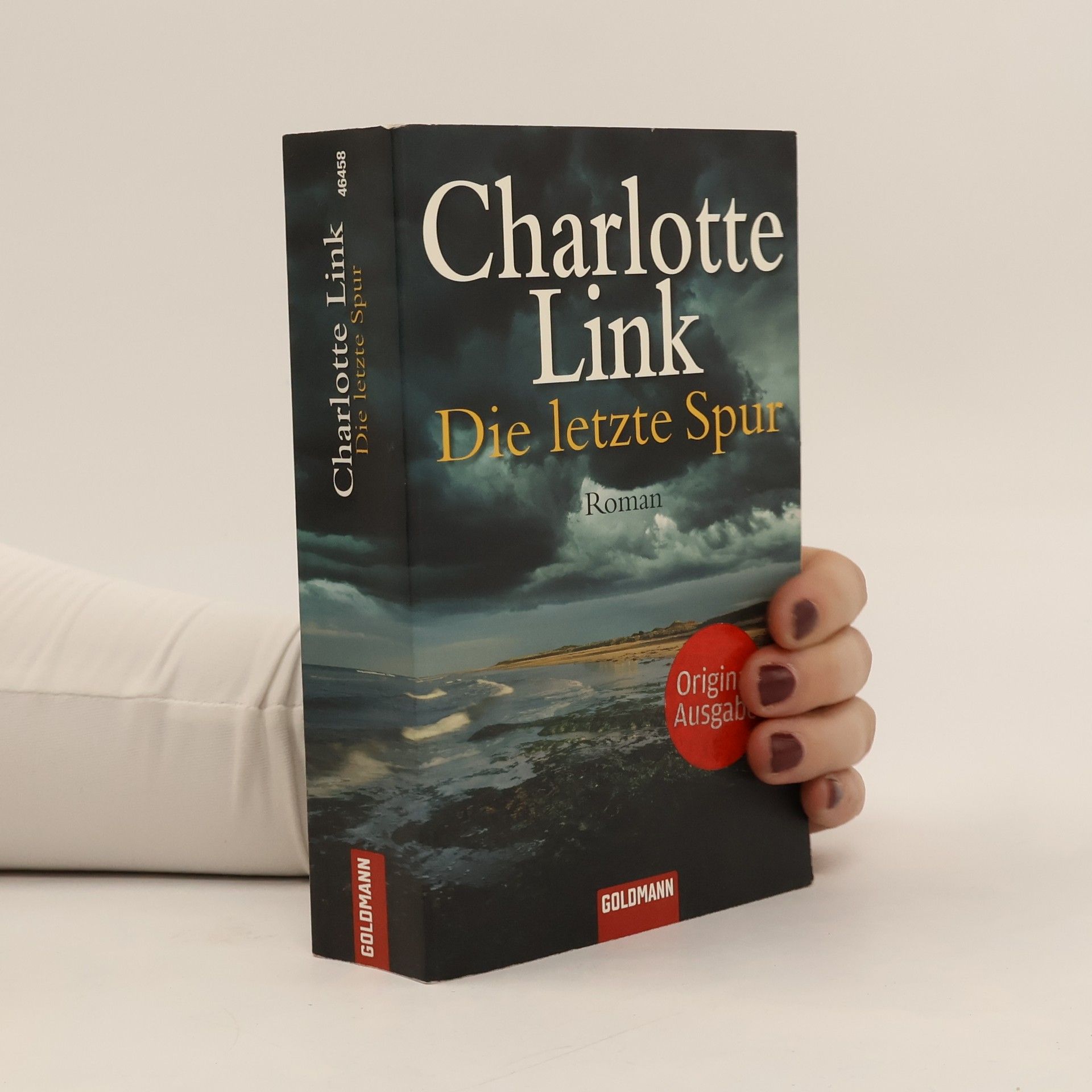 Charlotte Link Die letzte Spur