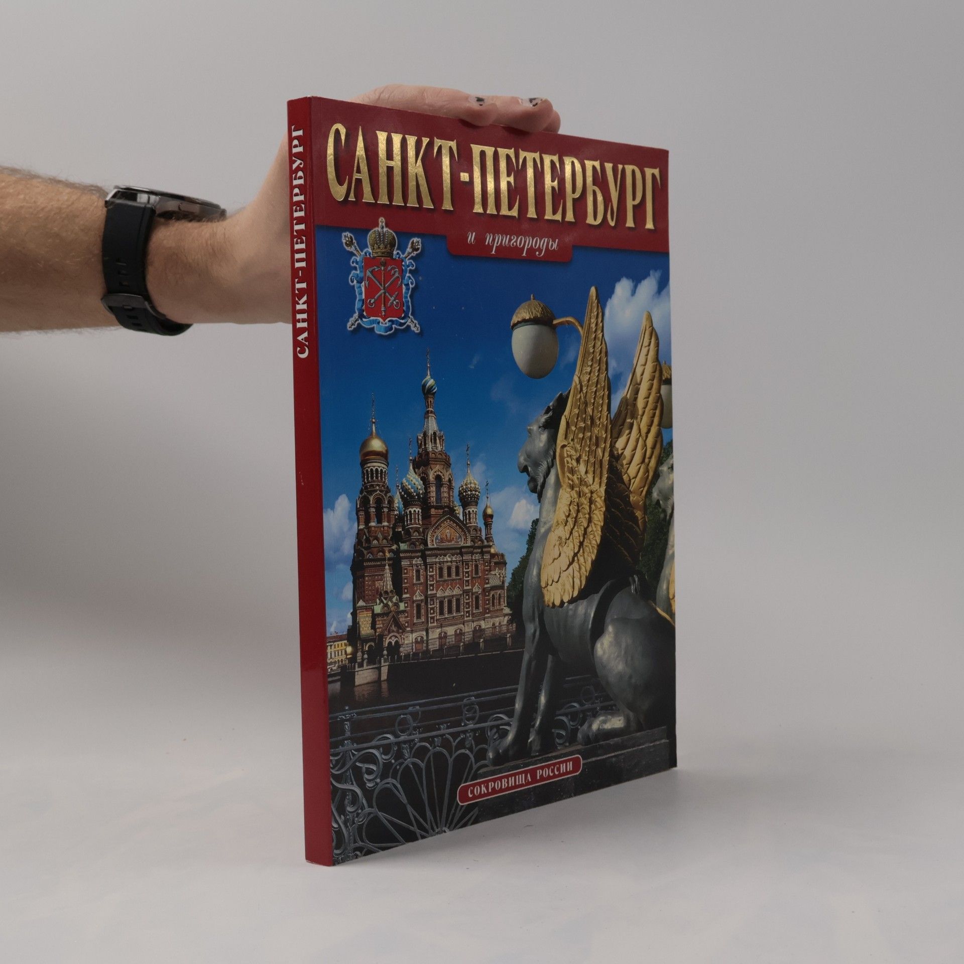 Various authors St Petersburg and Its Environs