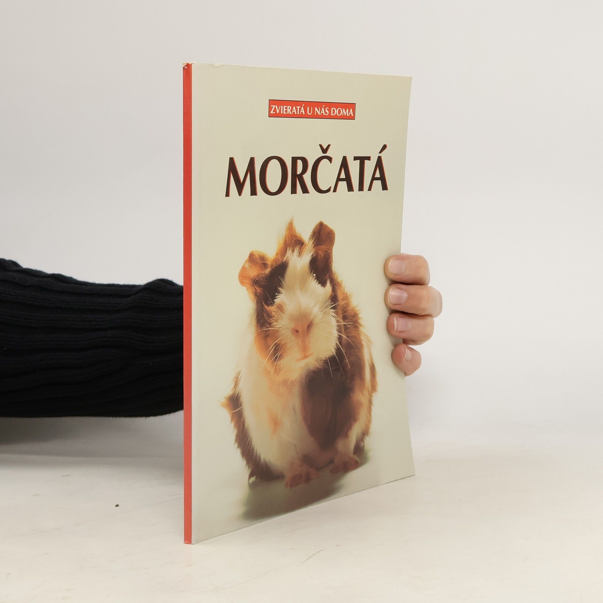 Kolektív autorov Morčatá