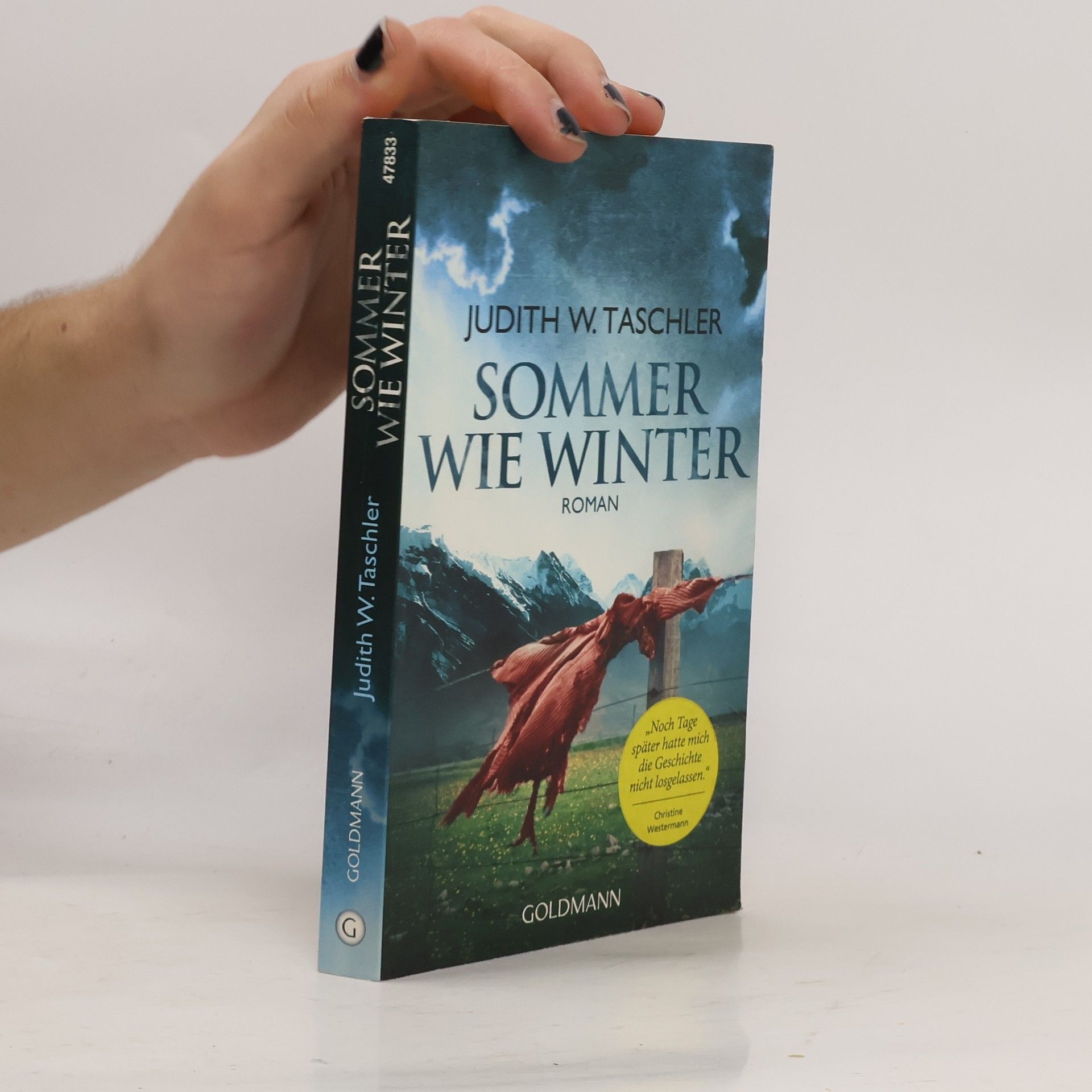 Judith Taschler Sommer wie Winter