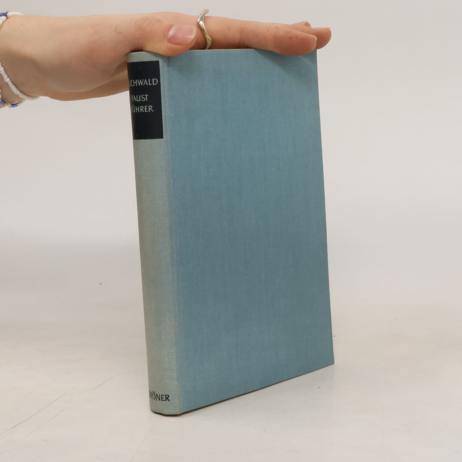 Führer durch Goethes Faustdichtung