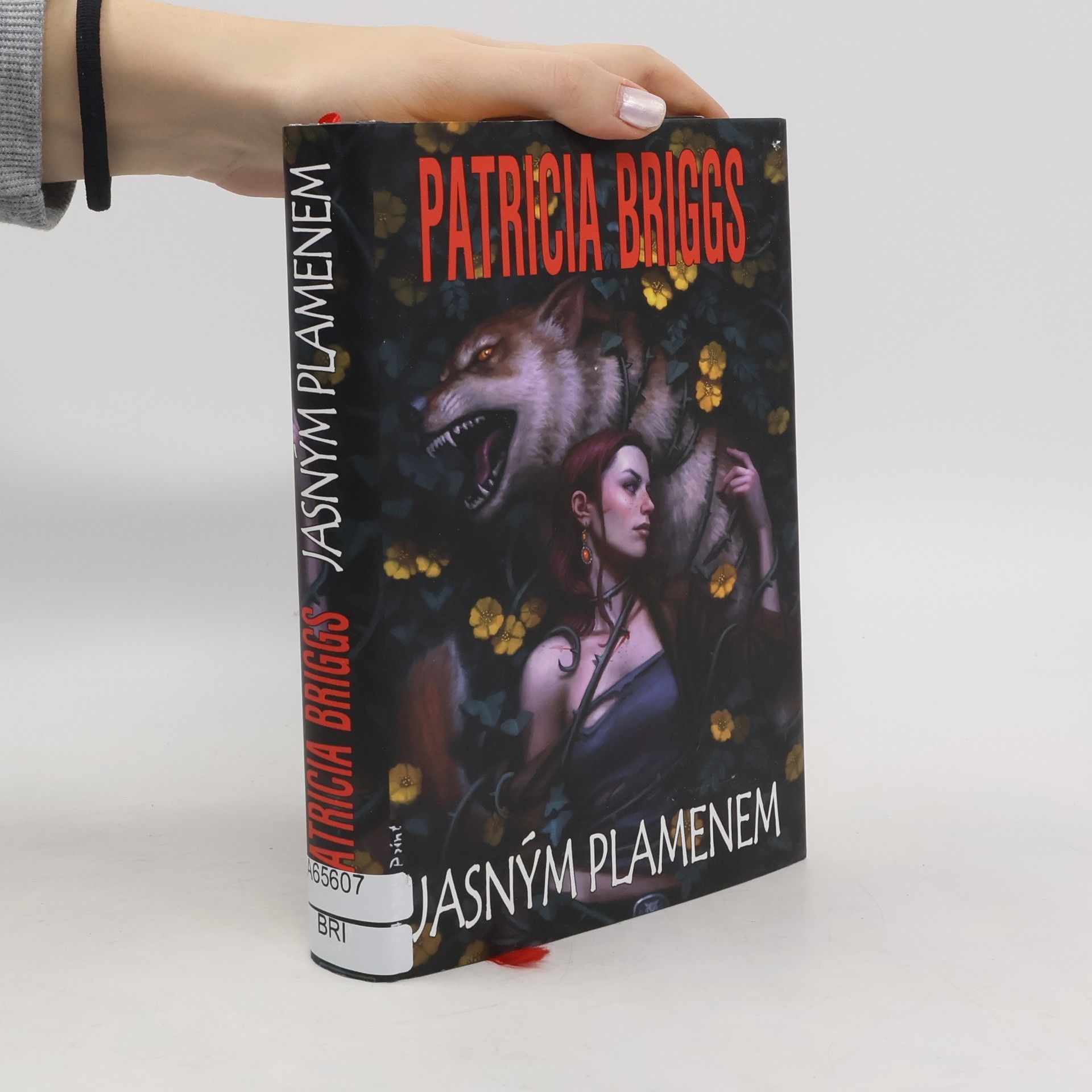 Patricia Briggs Jasným plamenem