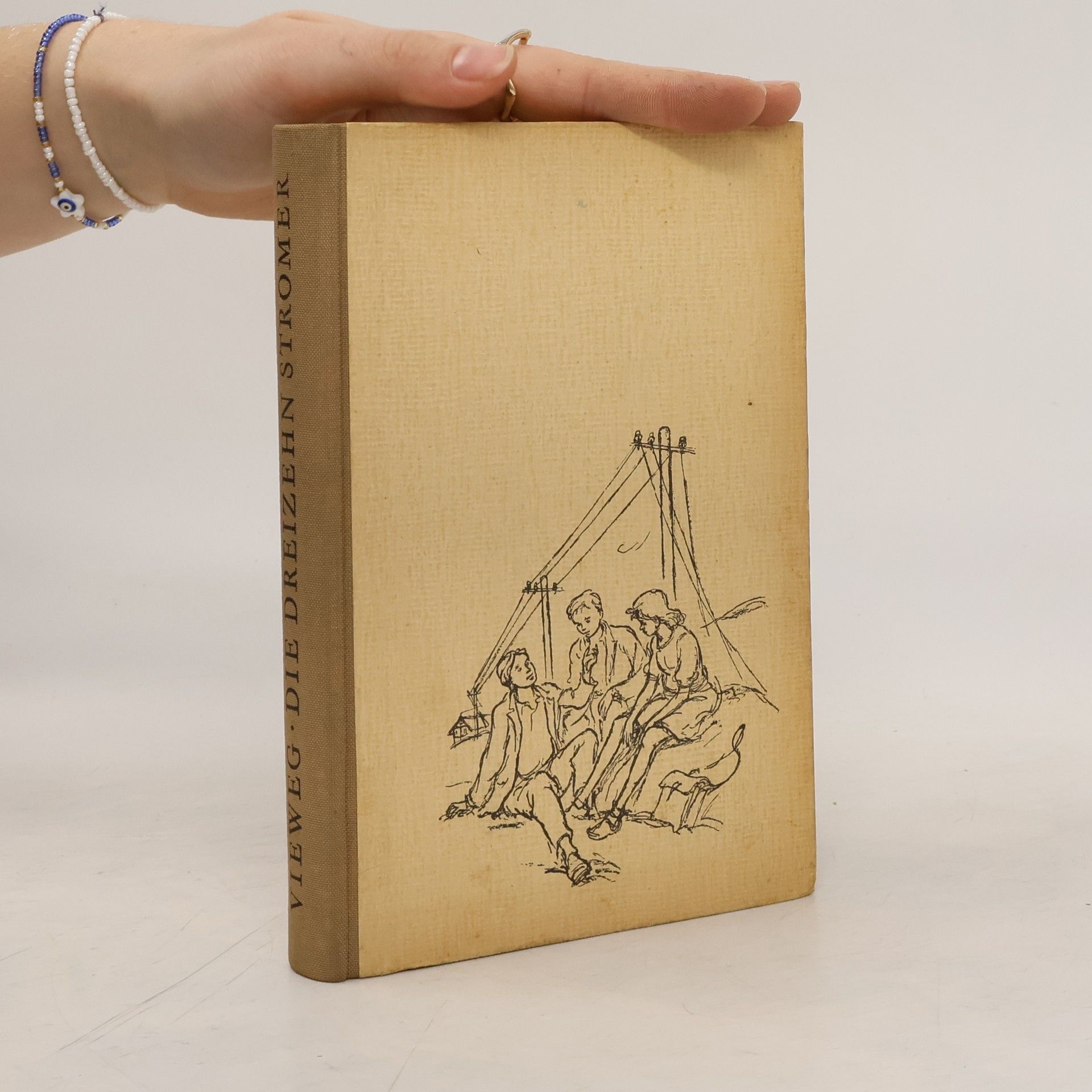 Heinz Vieweg Die dreizehn Stromer