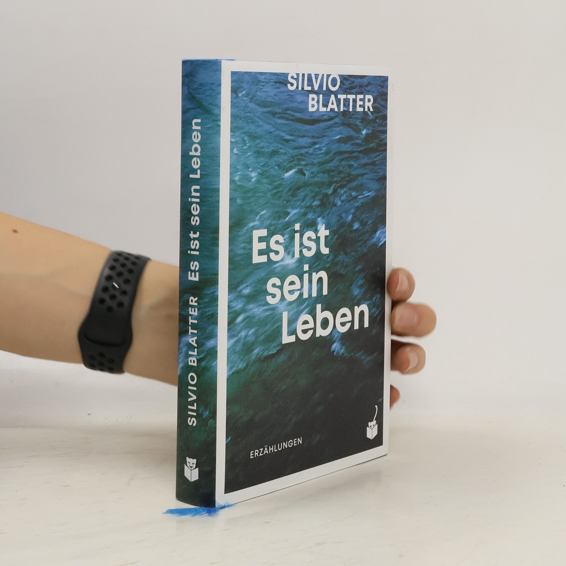 Silvio Blatter Es ist sein Leben. Erzählungen