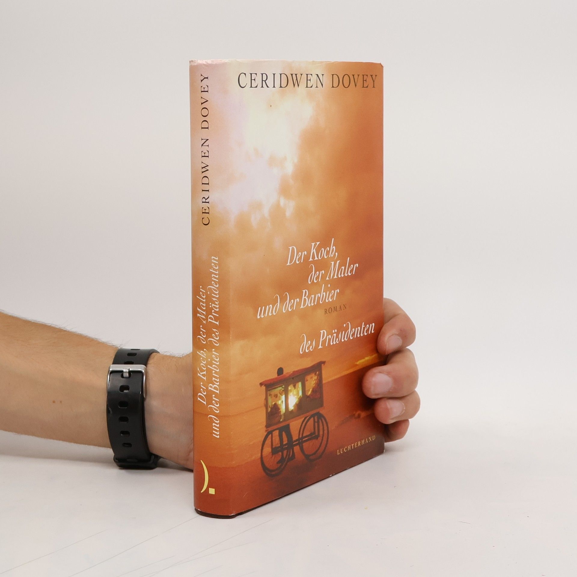 Der Koch, der Maler und der Barbier des Präsidenten. Roman