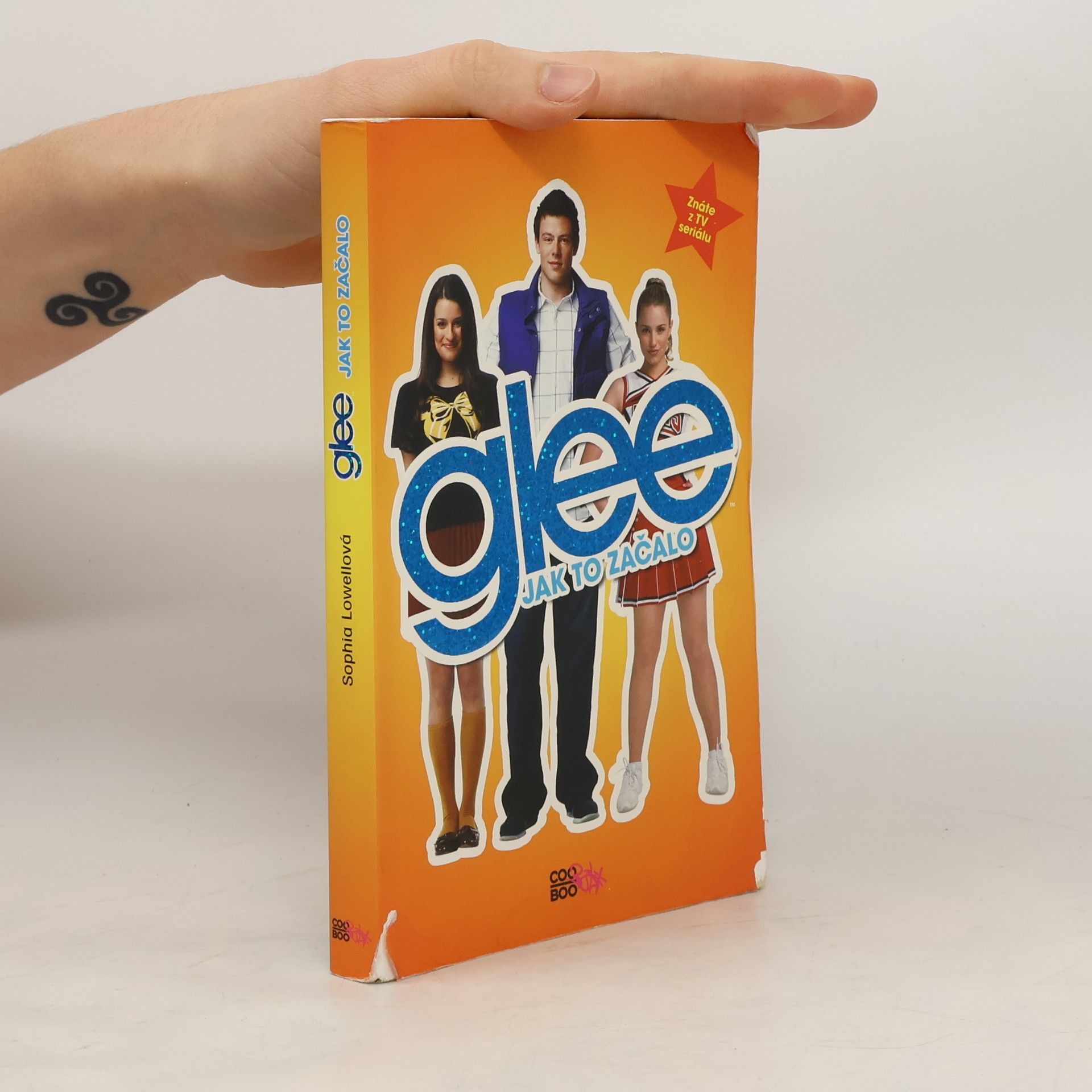 Glee. Jak to začalo