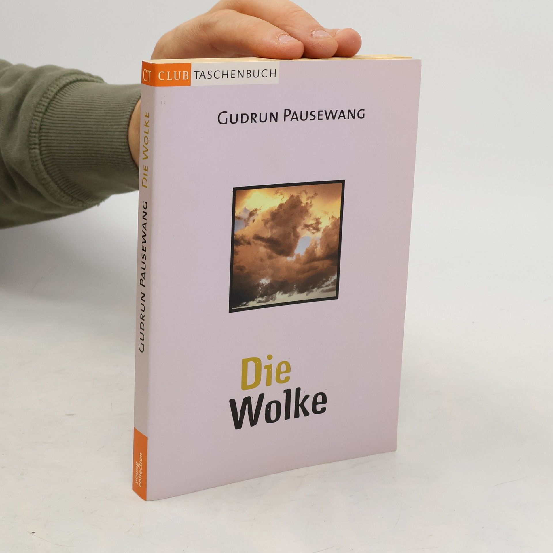 Gudrun Pausewang Die Wolke