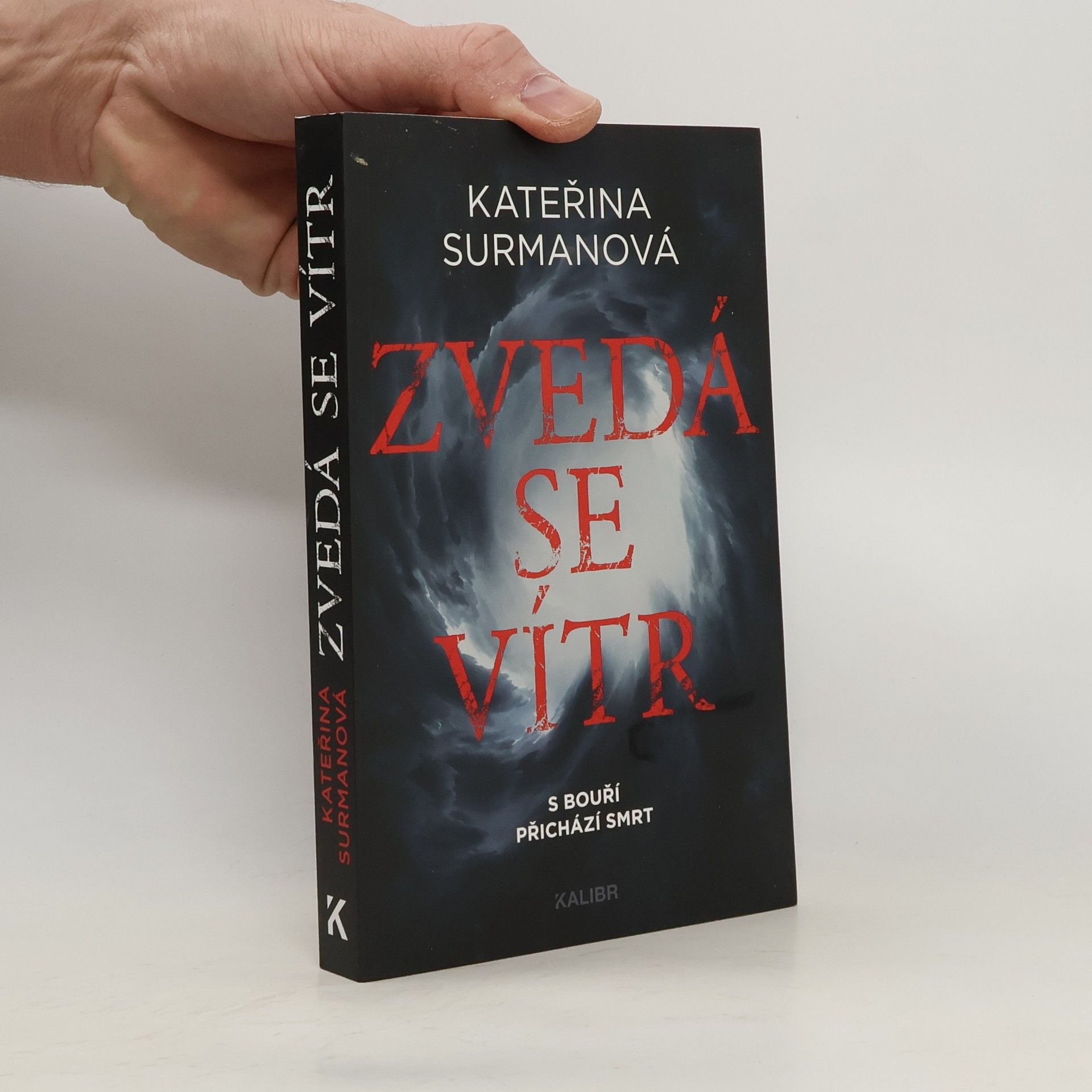 Kateřina Surmanová Zvedá se vítr