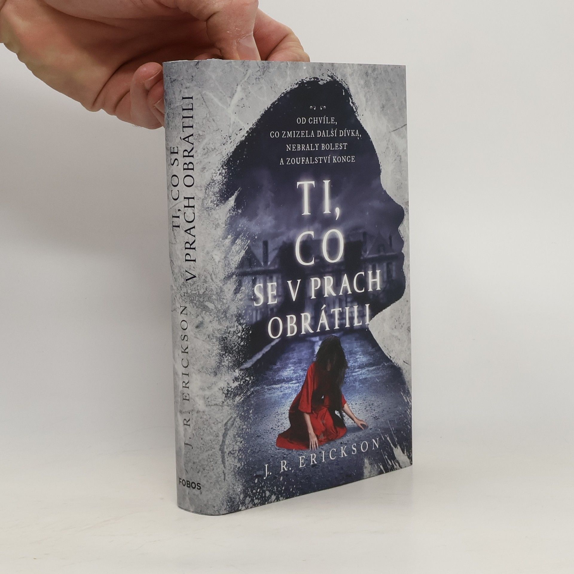 Hana Ferstl Ti, co se v prach obrátili